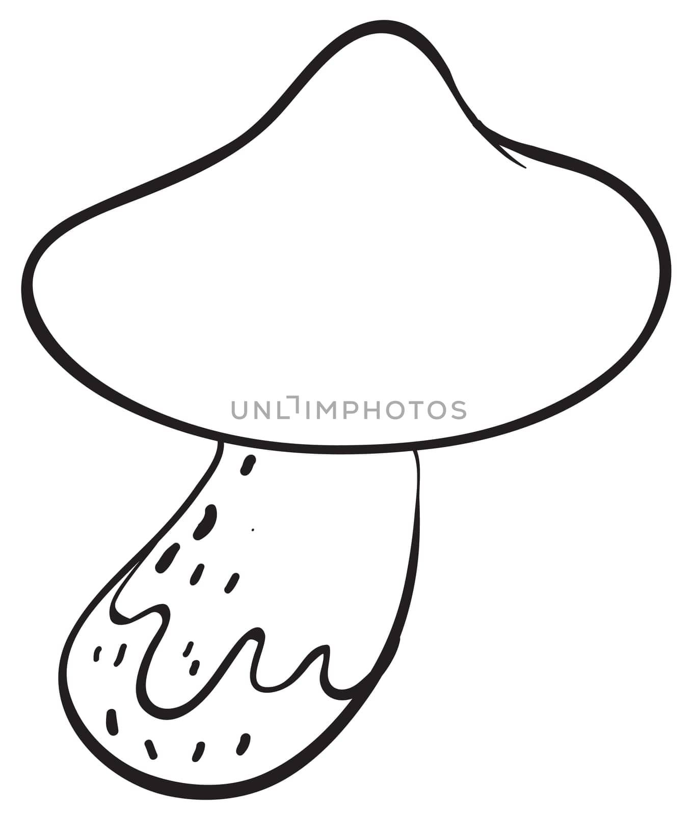 Illustration of a simple mushroom