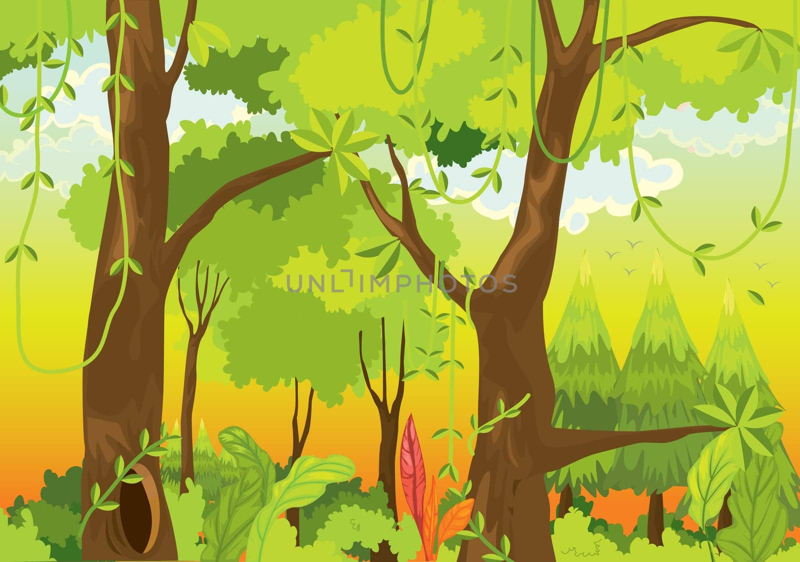 Illustration of  a forest