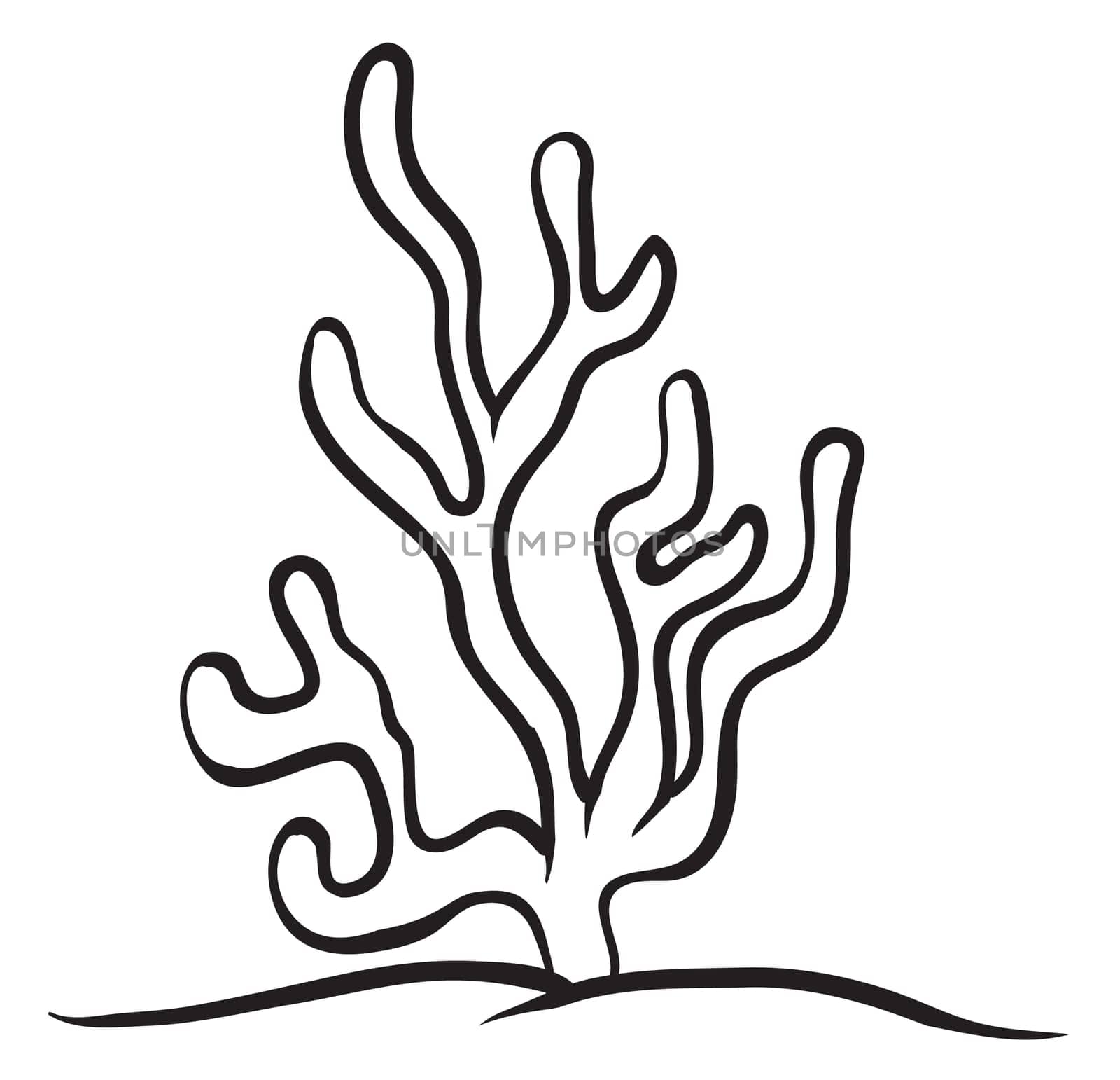 illustration of a under water plant on a white background