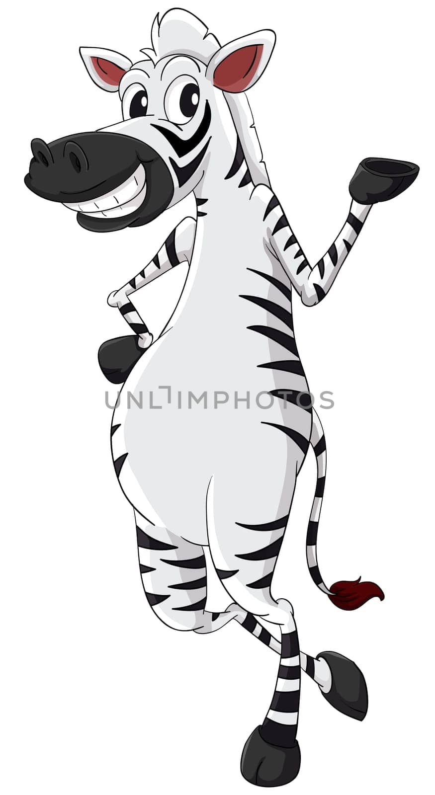 Cartoon zebra on white background