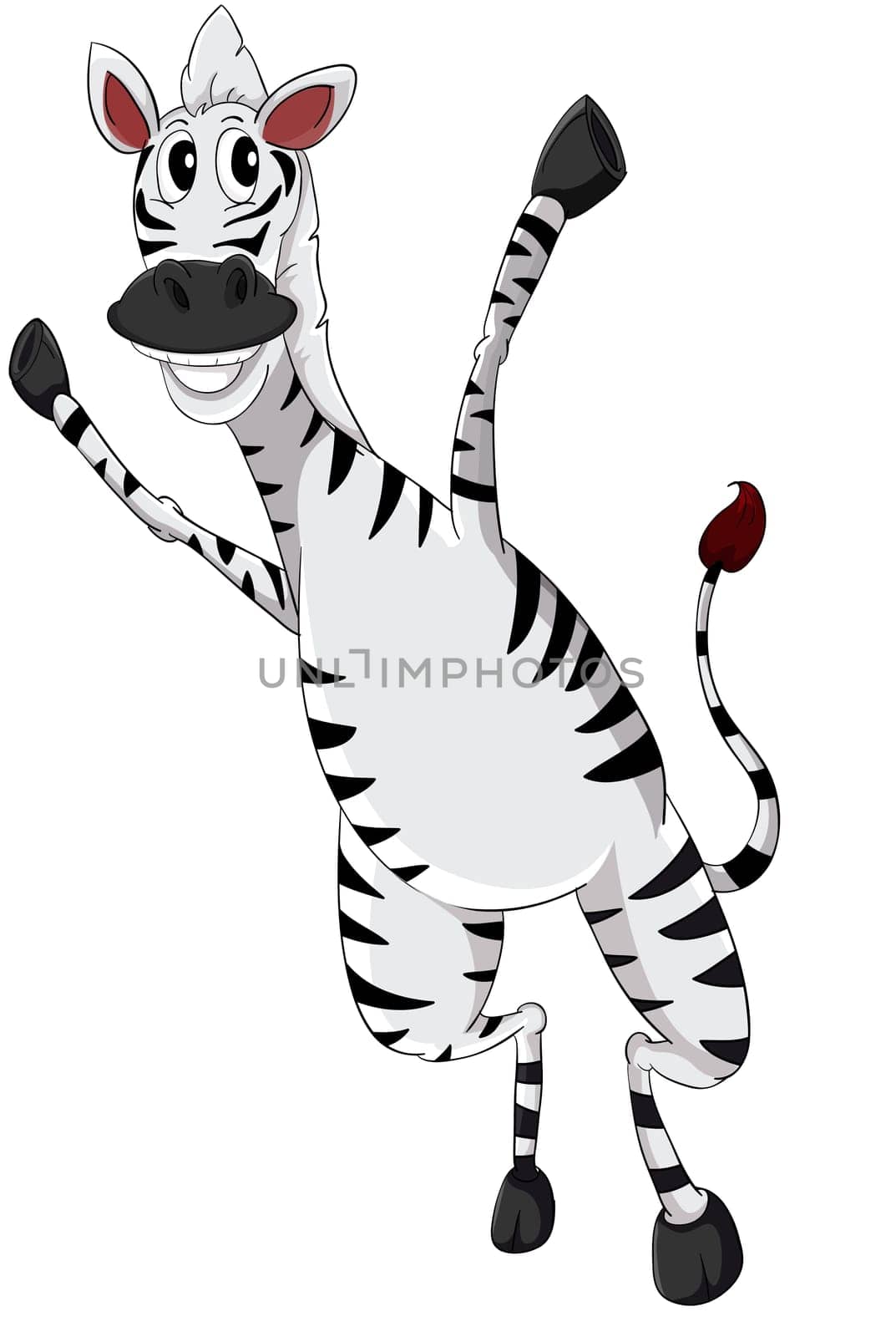 Cartoon zebra on white background