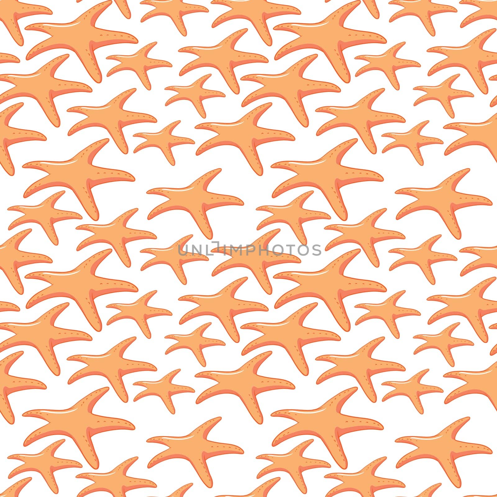 illustration of starfish on a white background