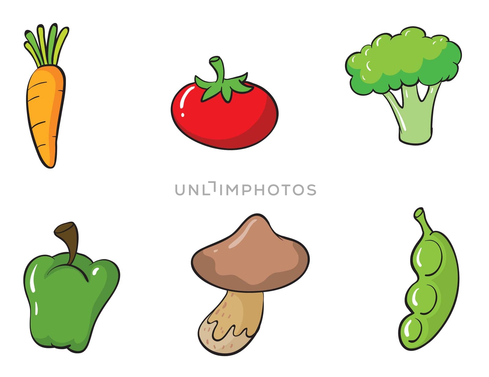 illustration of various vegetables on a white background