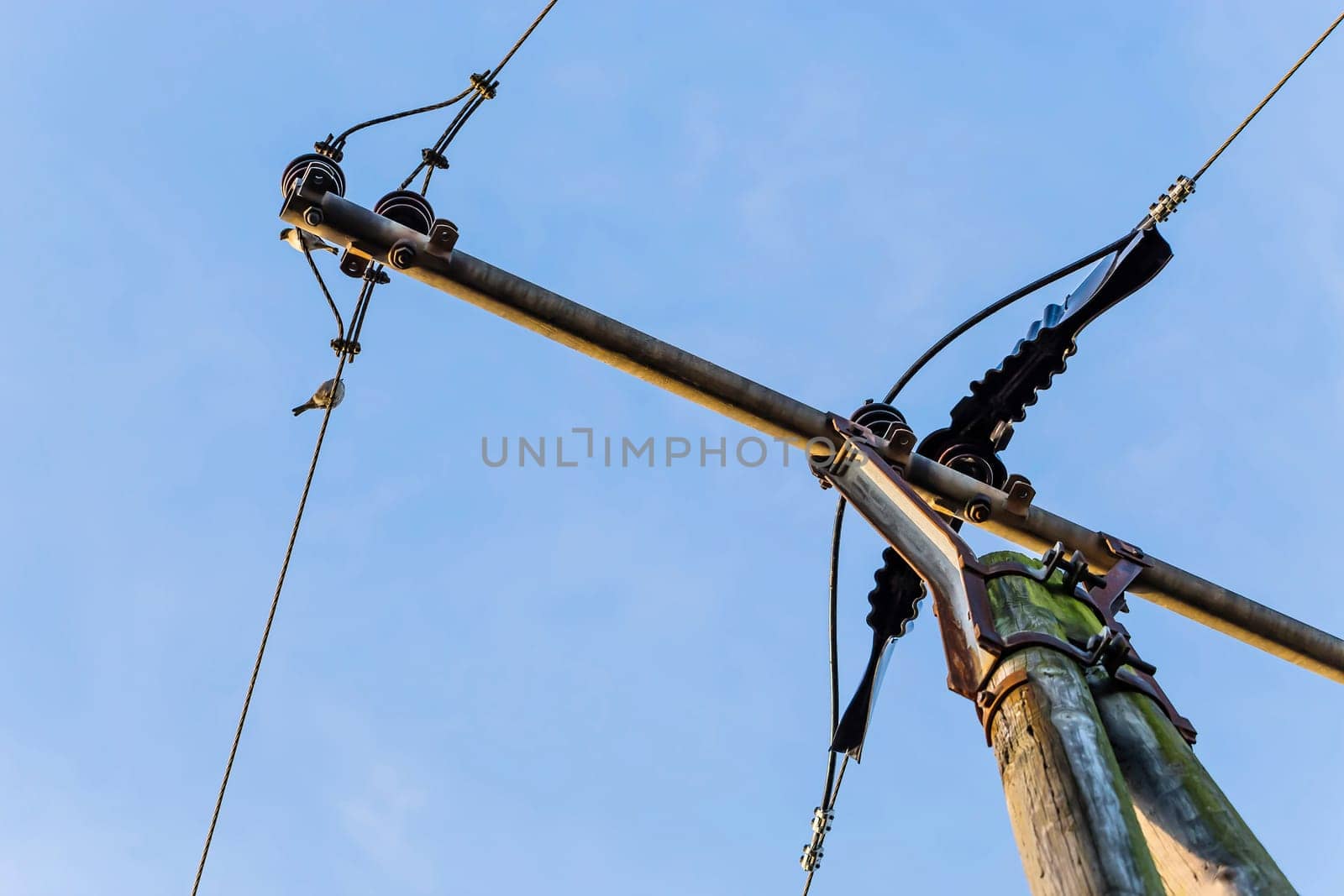 Power pole detail