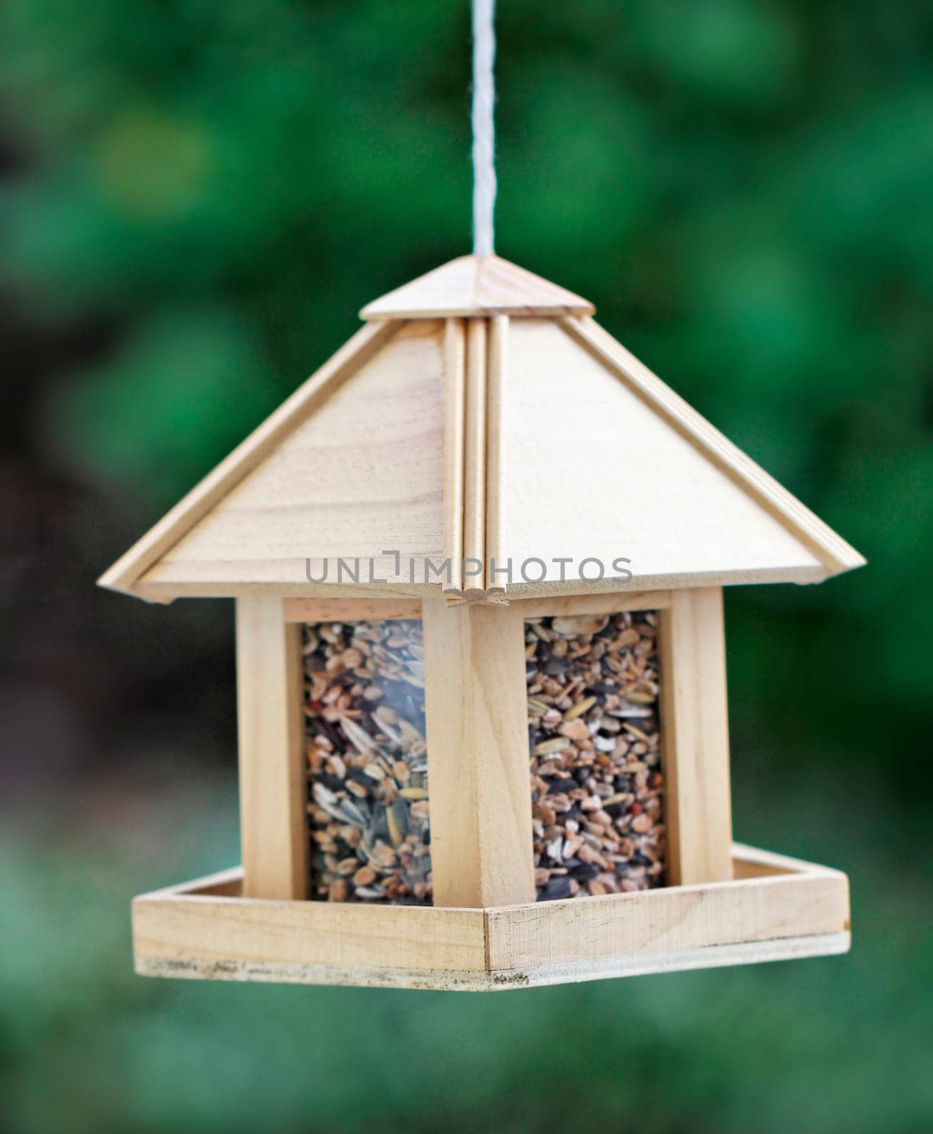 Birdhouse hanging