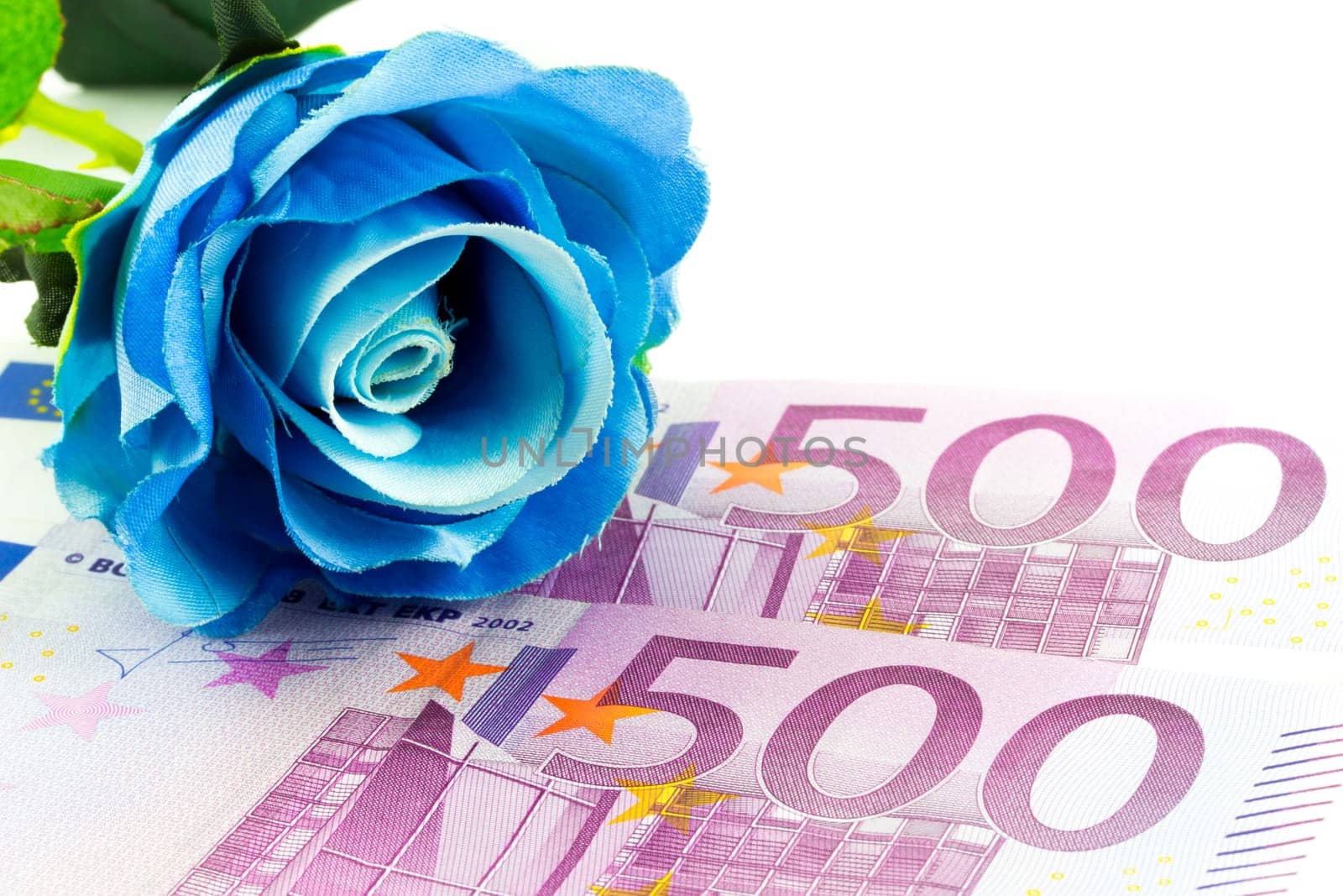 Money and blue rose
