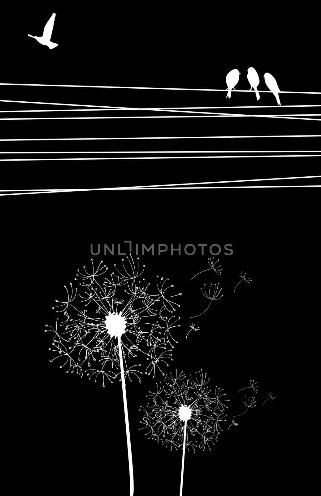 High contrast cables and birds, blown dandelion on black background. Vector file layered for easy manipulation and custom coloring.