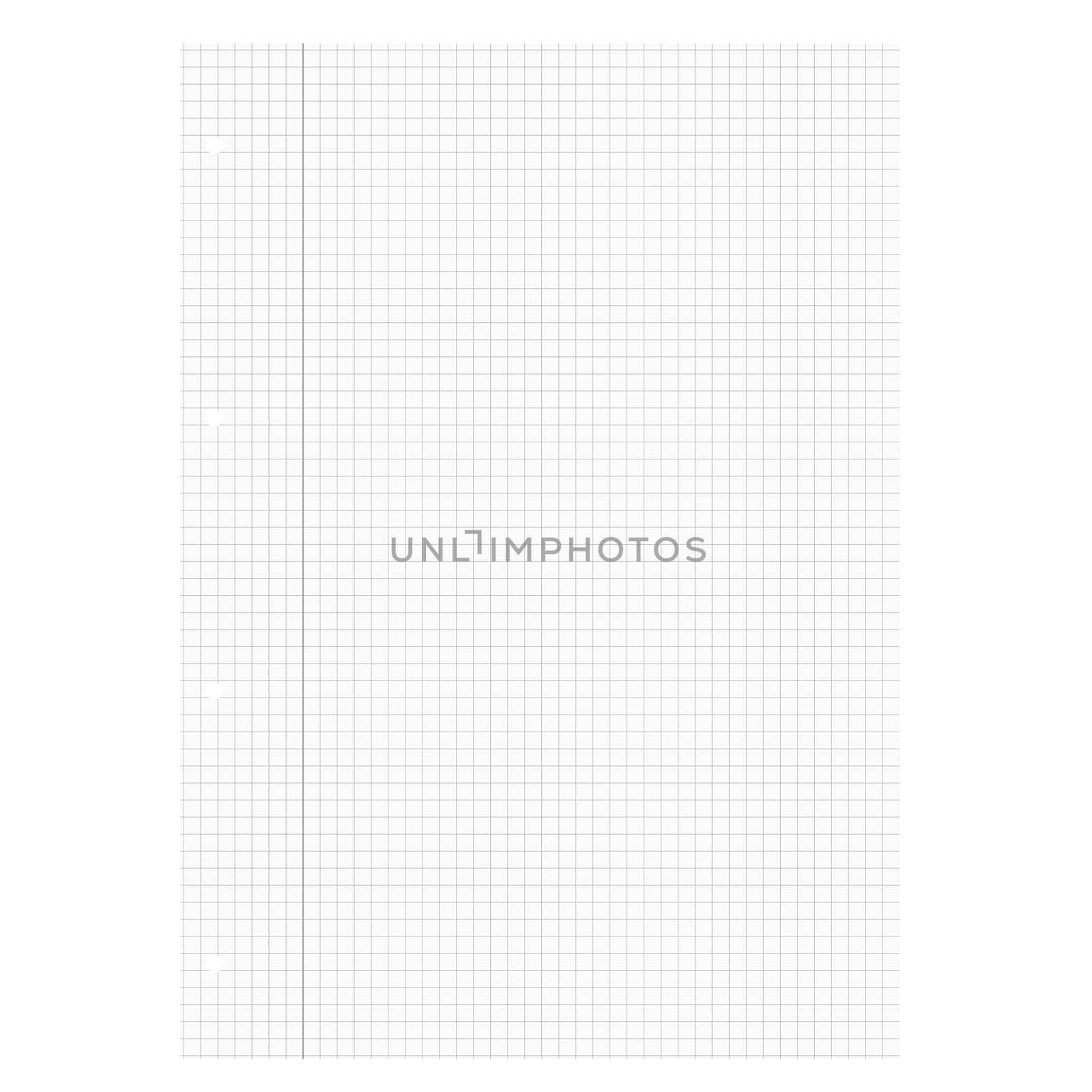 Blank white sheet of paper squared