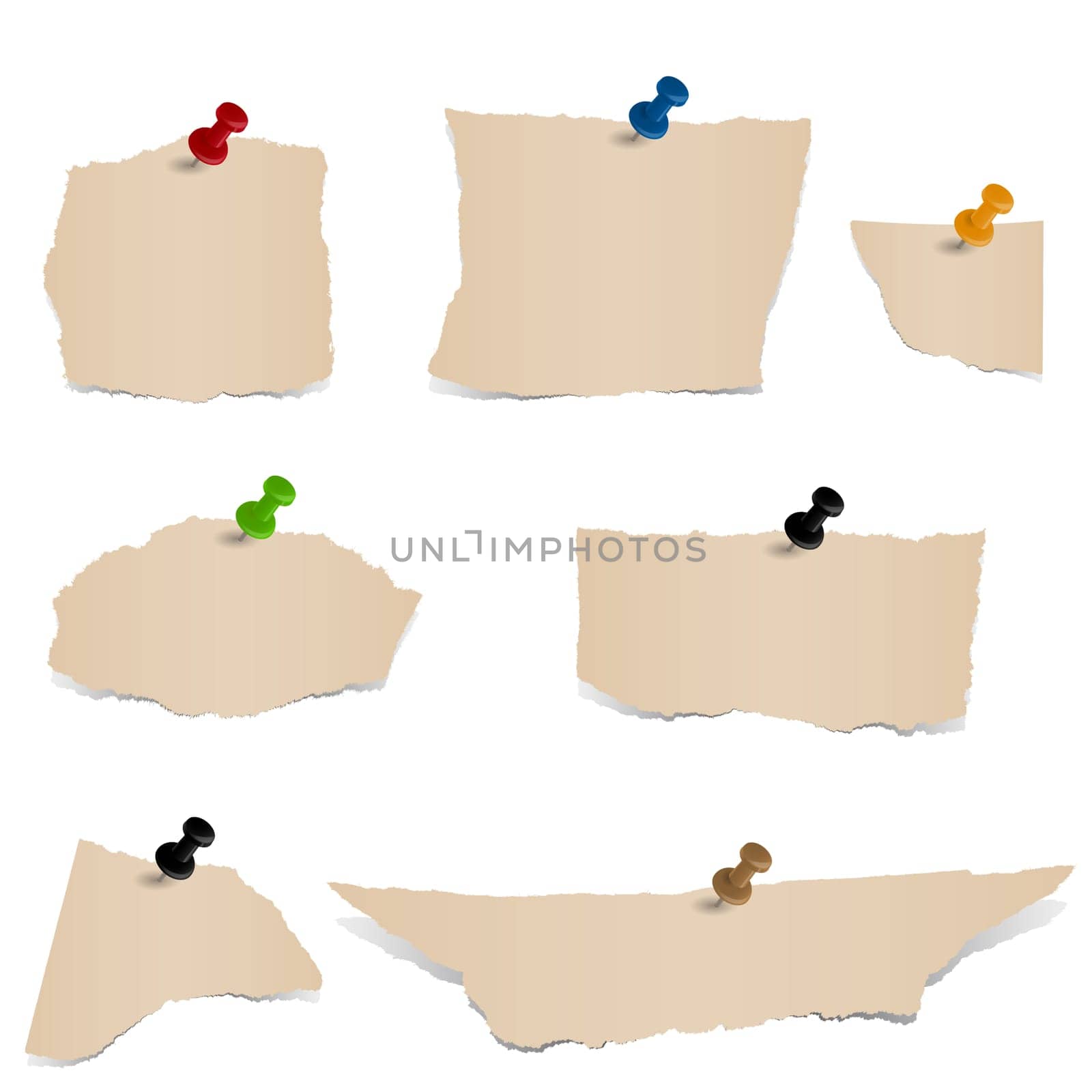 Collection - Brown Paper Scraps with Pin