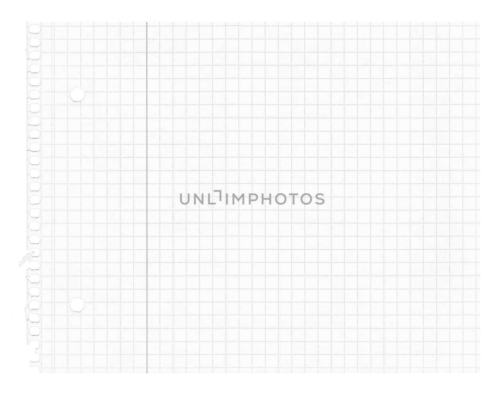 Blank white sheet of paper squared