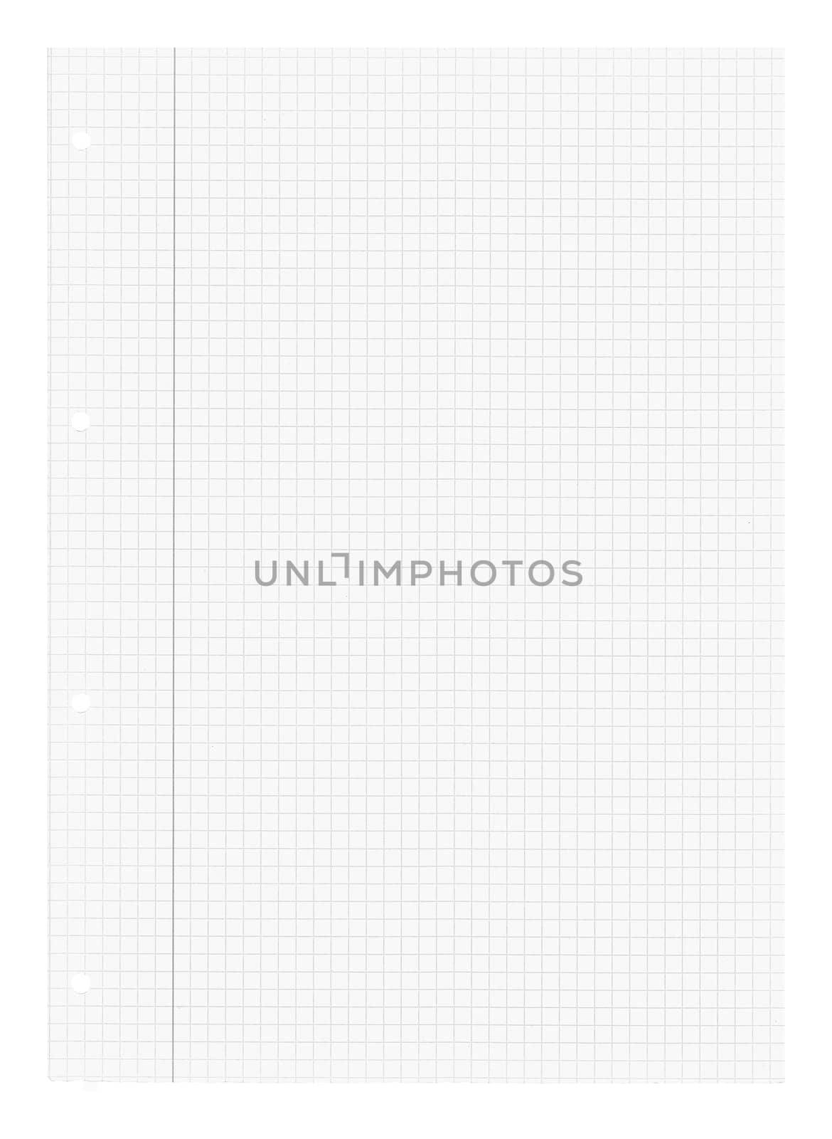 Blank white sheet of paper squared