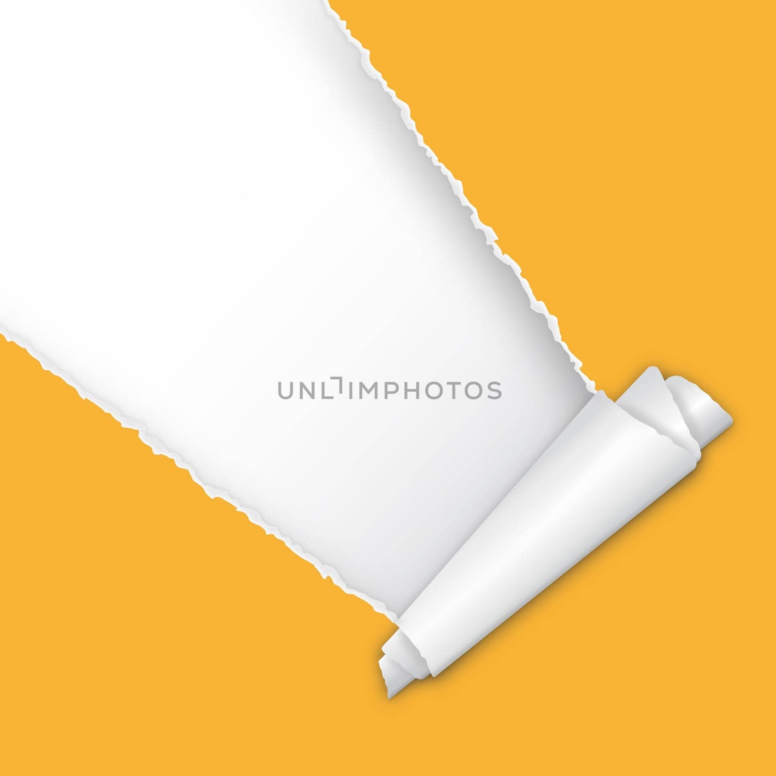 Torn paper with copy space