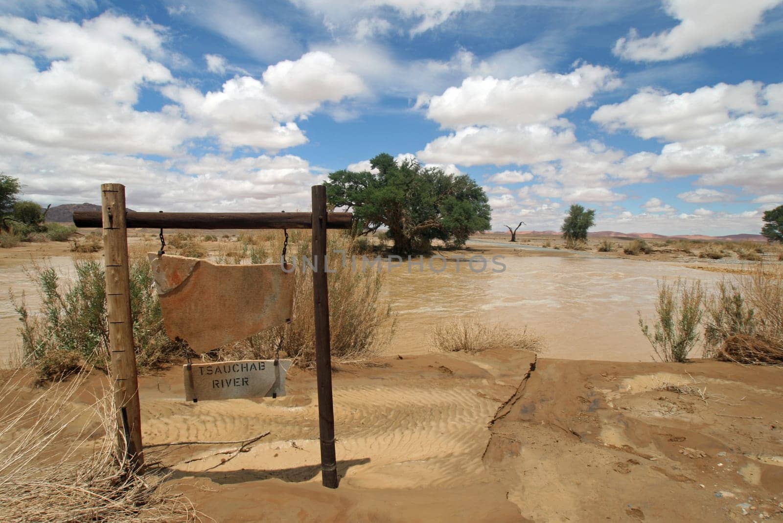 Flooding on the Tsauchab River. Sossuvlei. Namibia