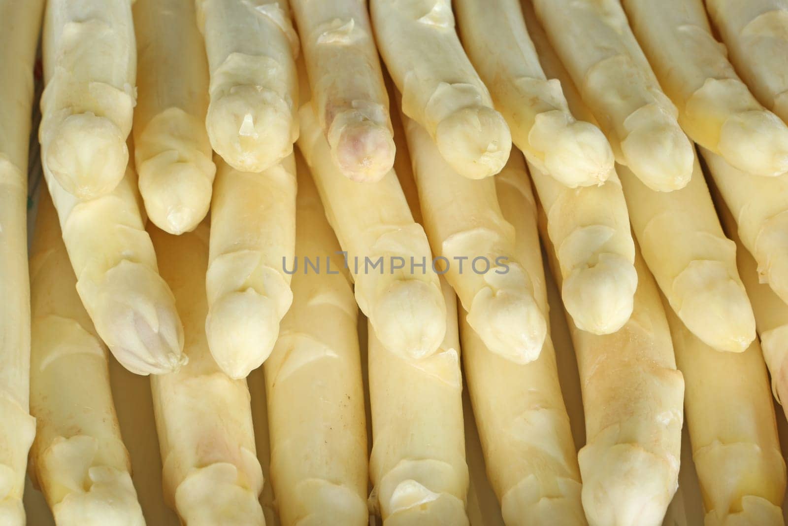 Fresh asparagus