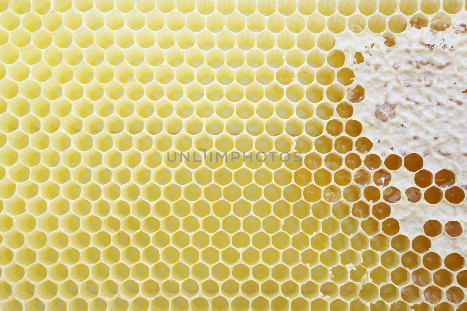 Honeycomb
