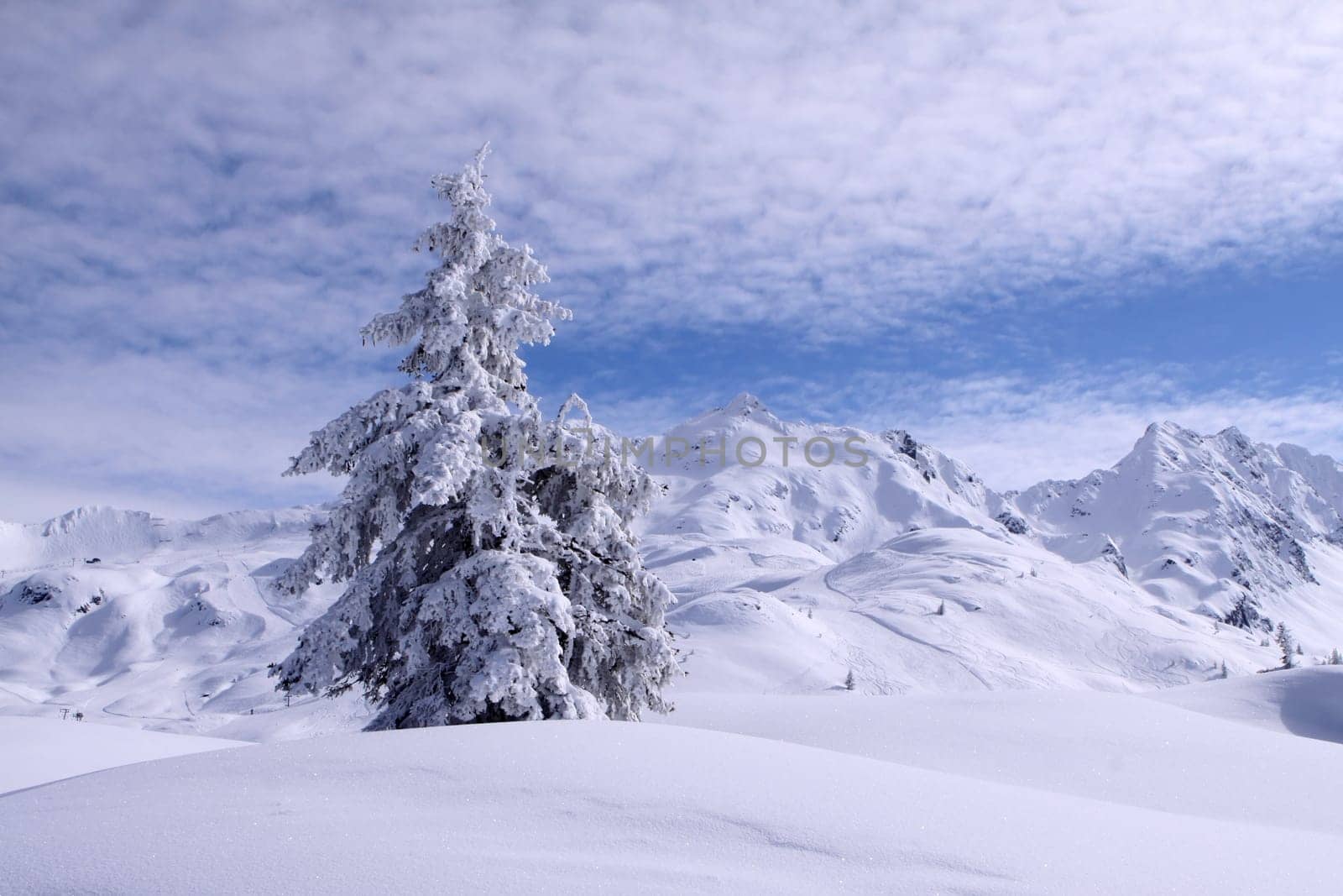 Winter dream in the Klostertal. Vorarlberg