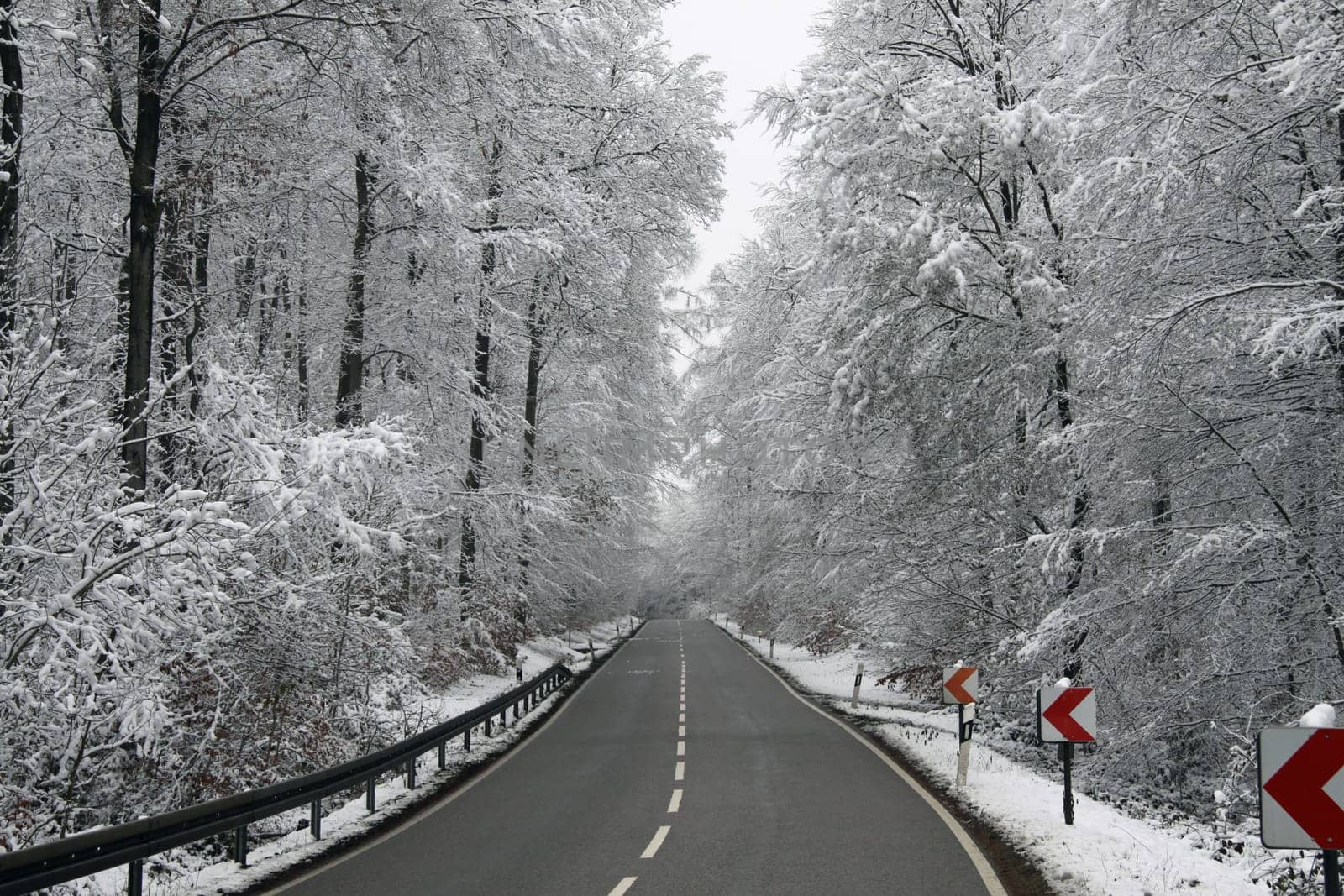 Road in winter