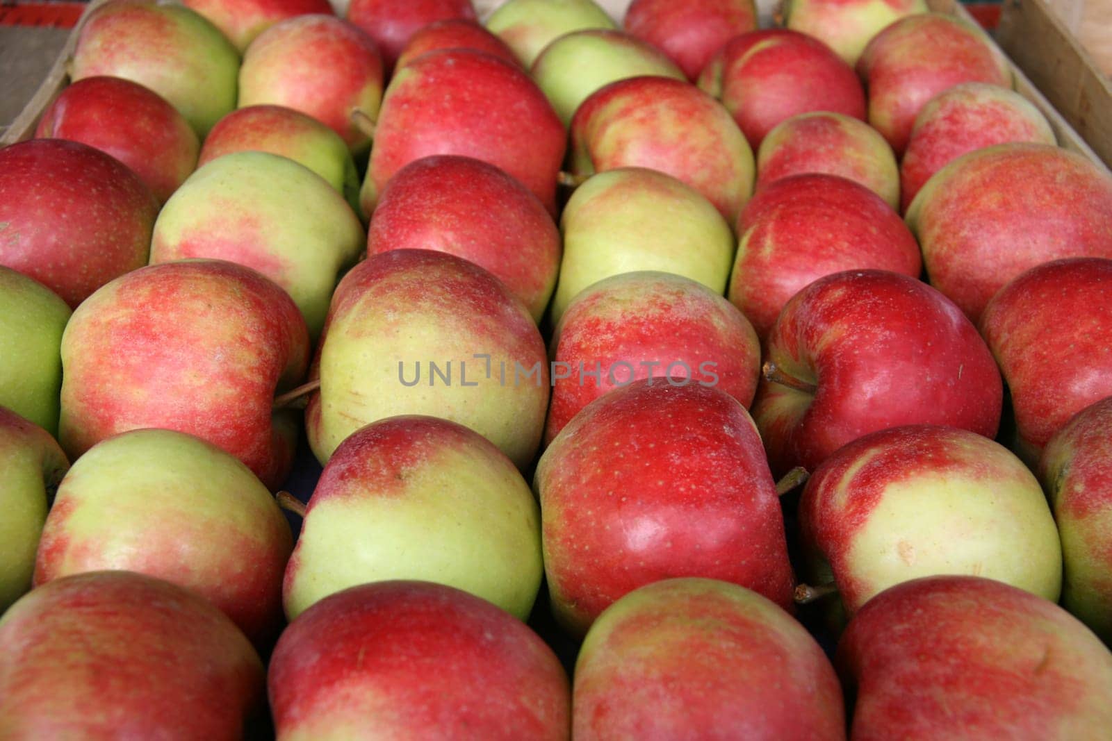 Apples without (New York)