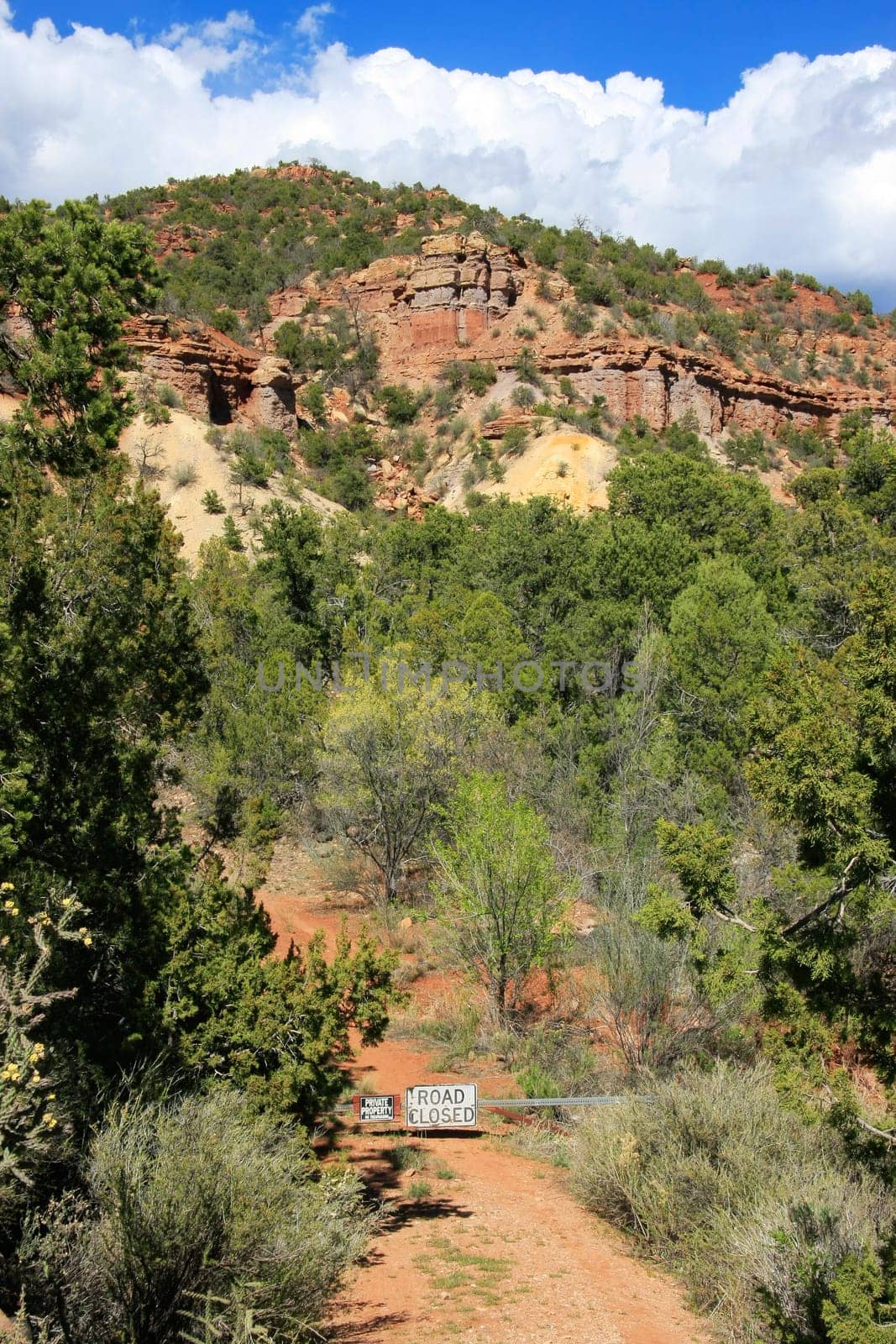 Colorful sandstone formations and trees in spring