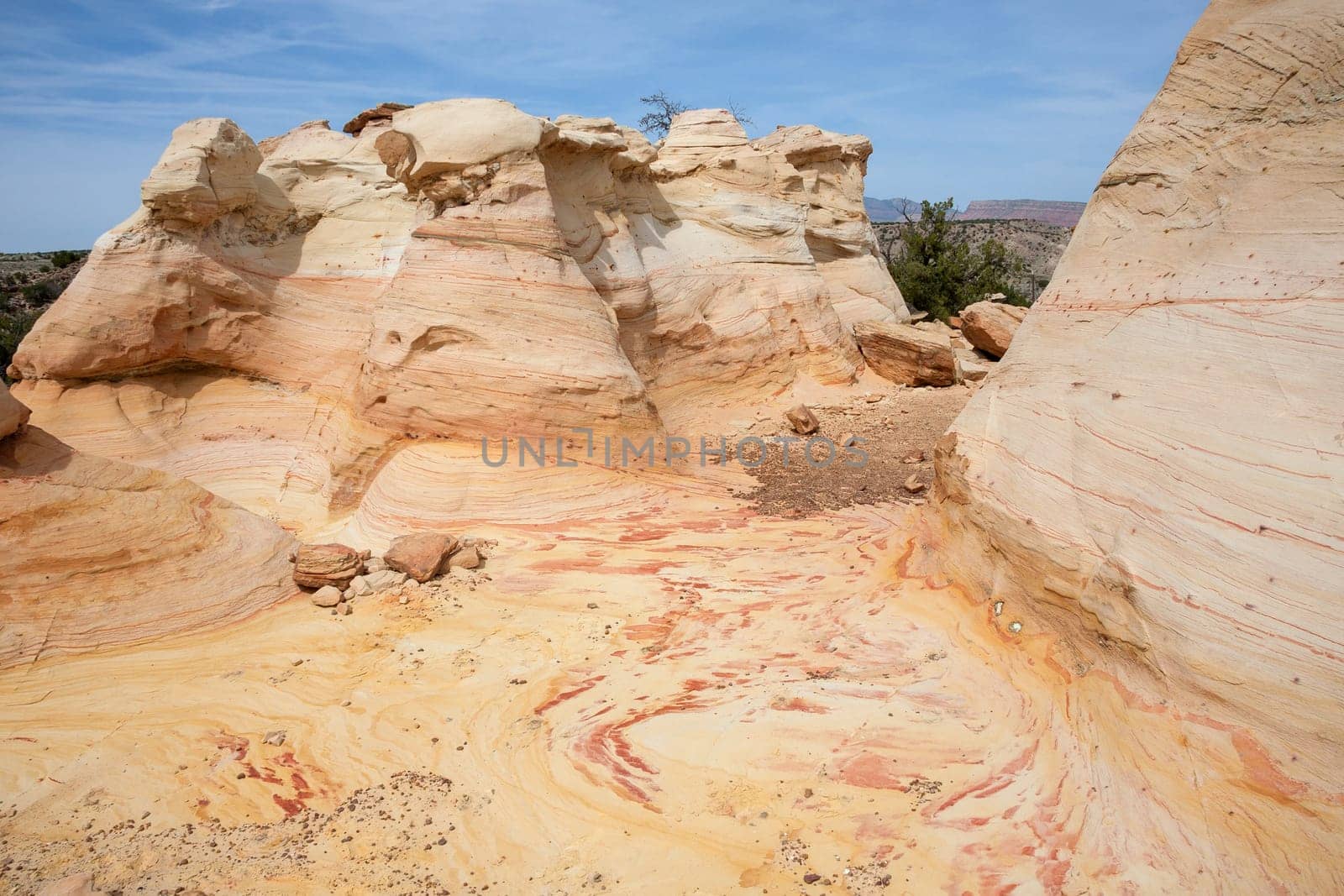 Yellow sandstone formations in Ojito Wilderness Study Area