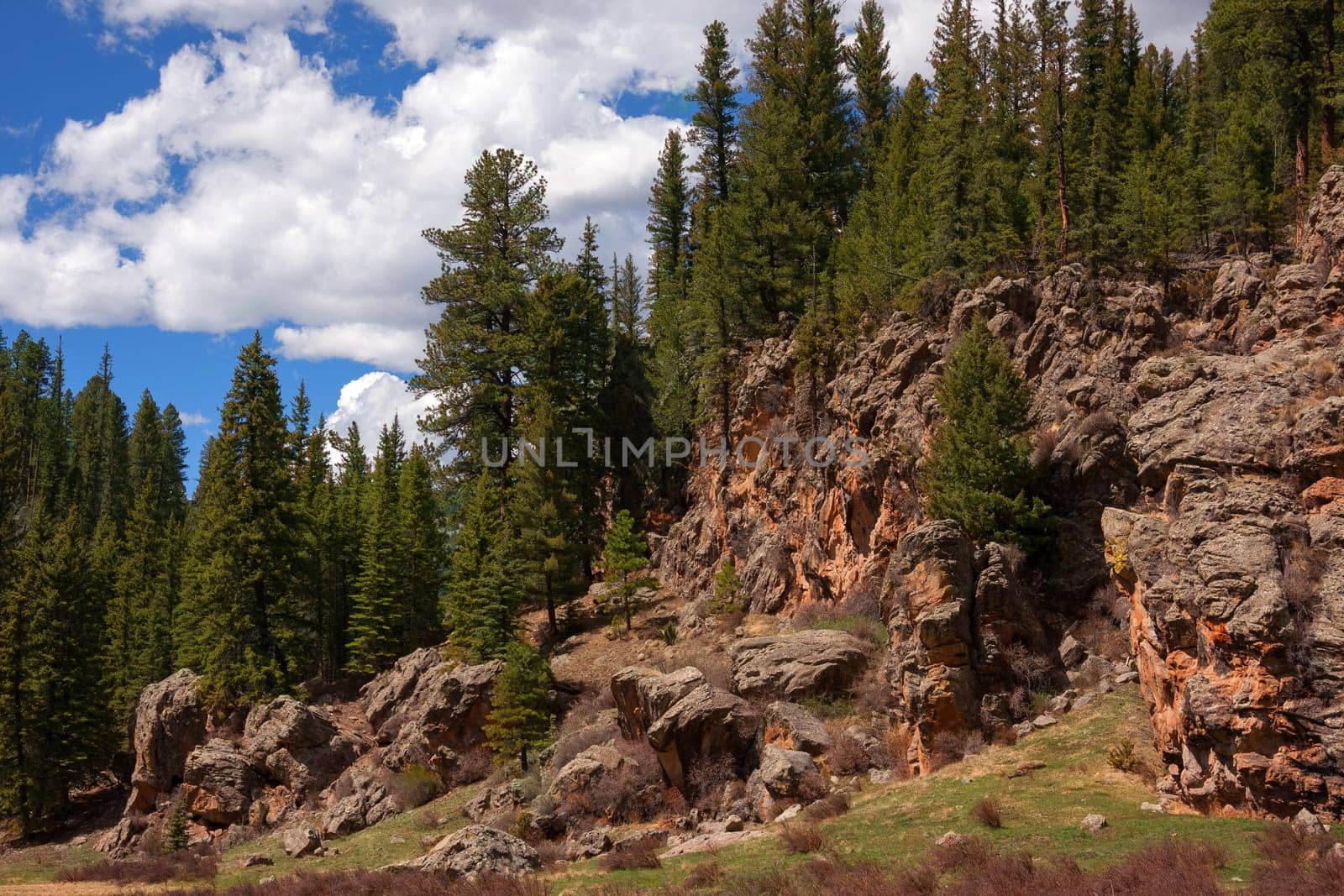Alpine rock formation in New Mexico forest
