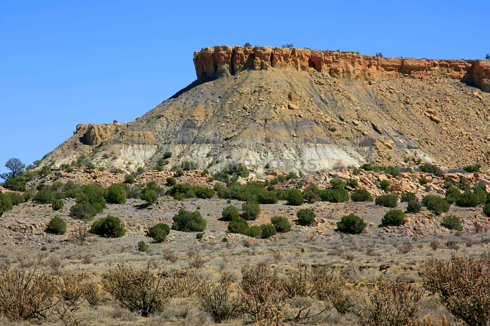 A mesa in Ojito Wilderness study area