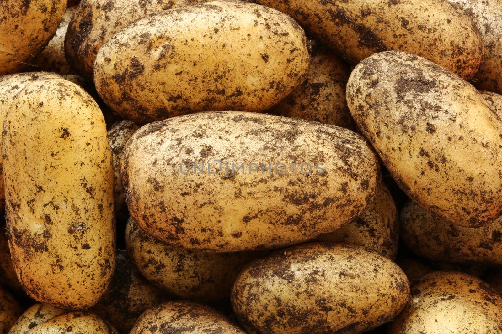 Potatoes