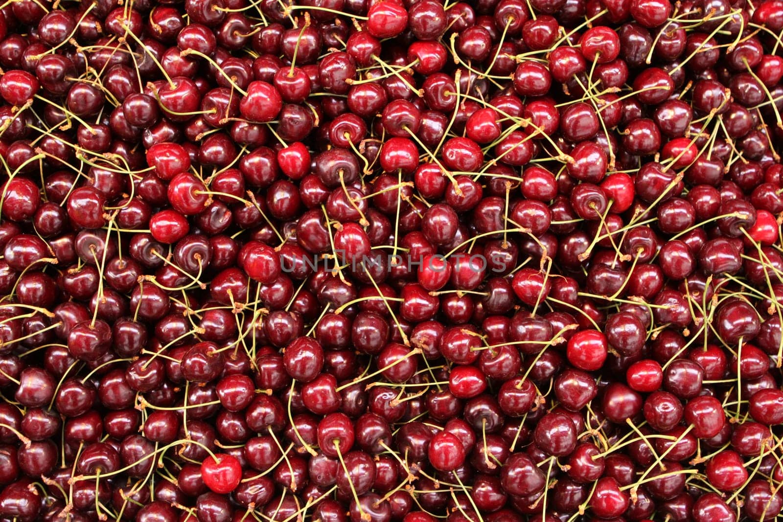 Cherries
