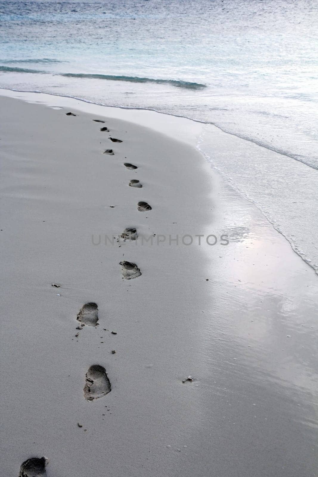 Footprints in the sand