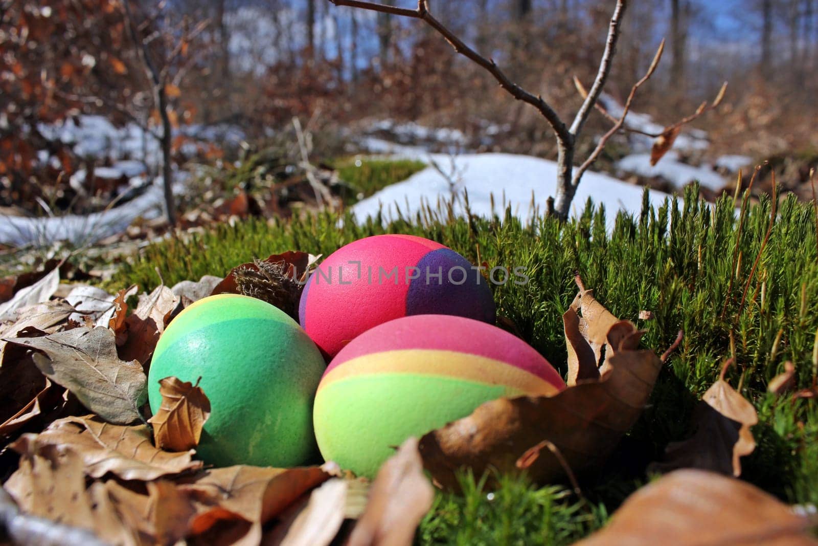 Easter eggs in the Reinhardswald