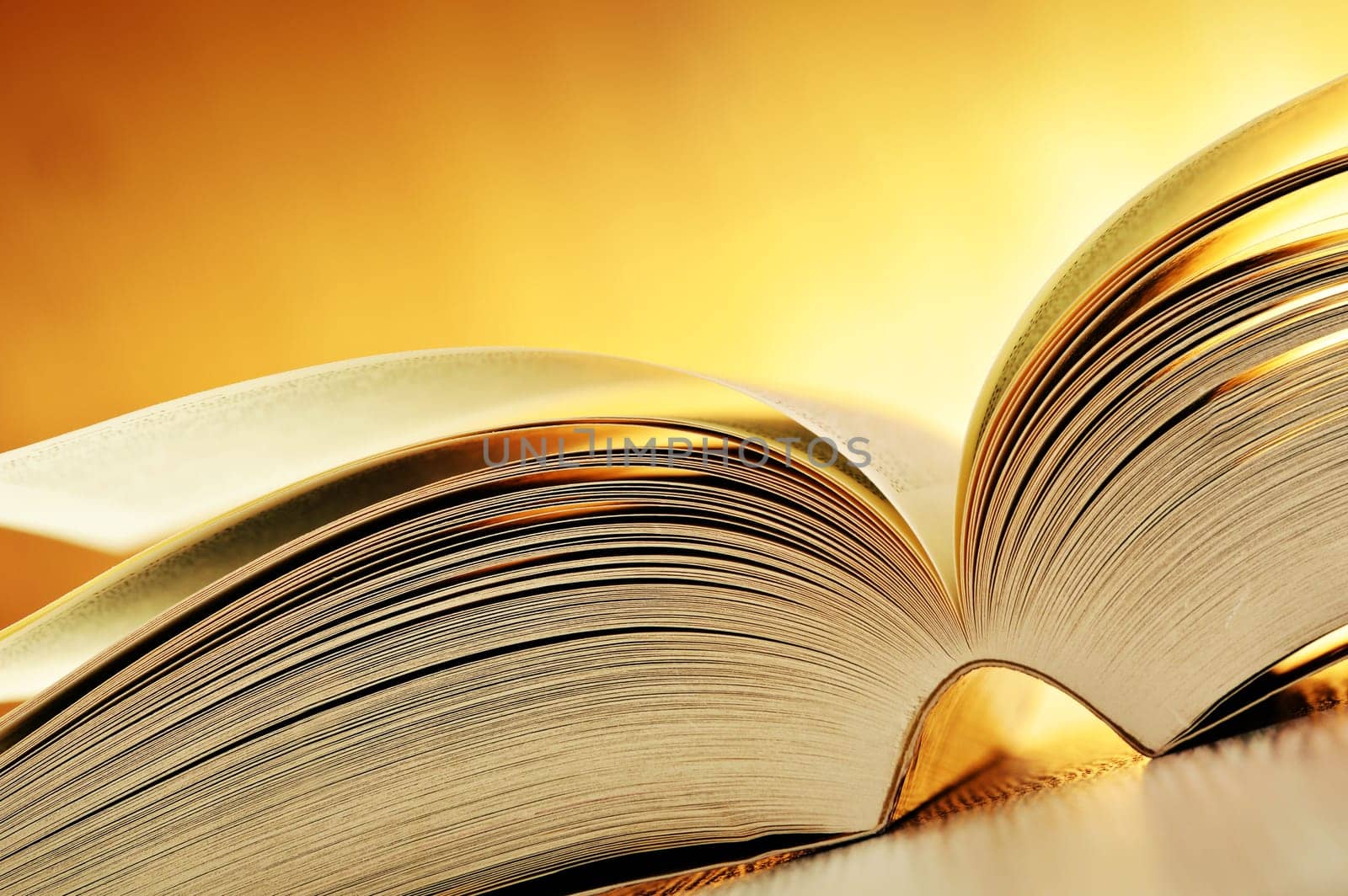 Composition with book on the table