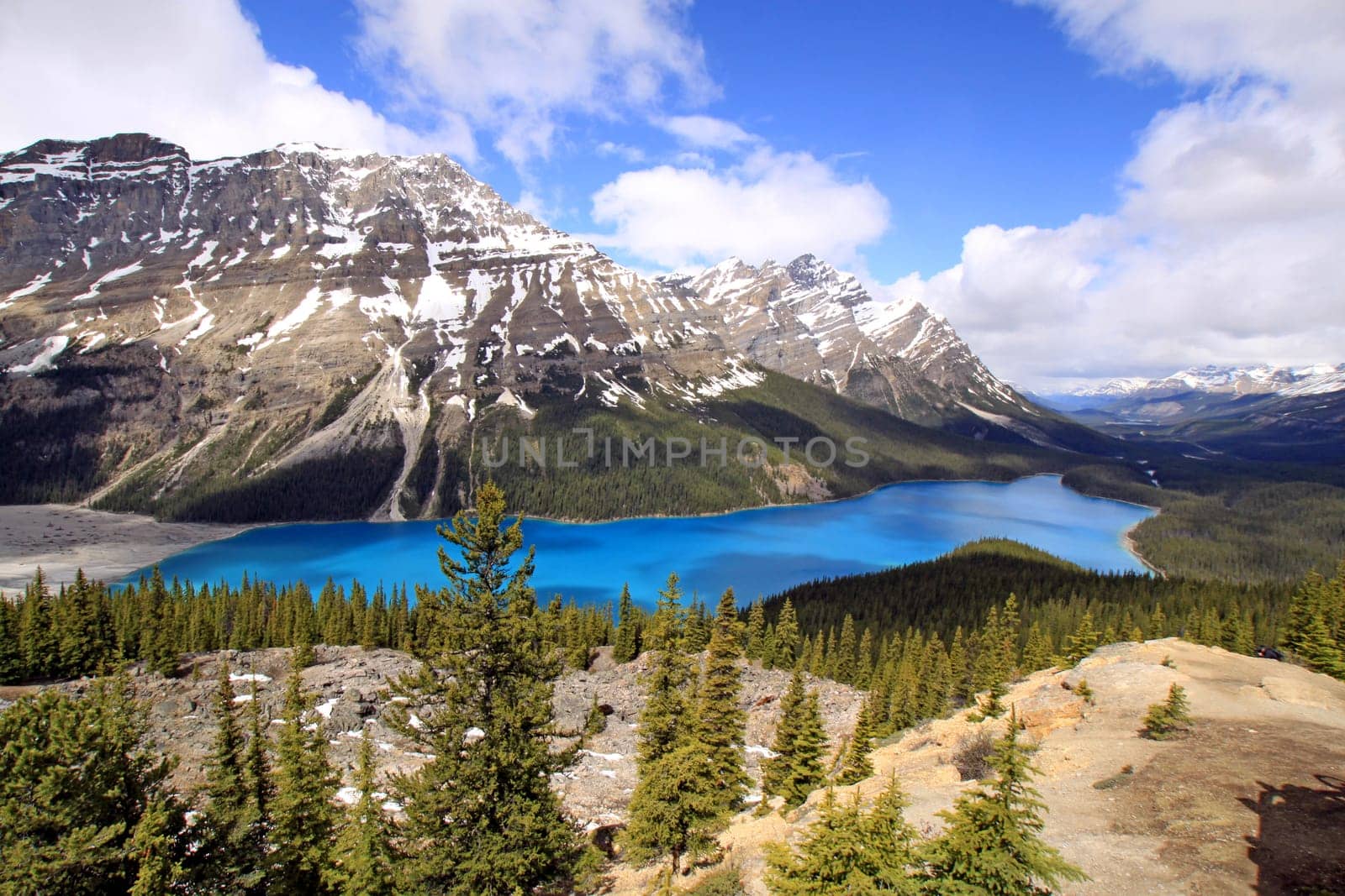 Lake Peyto,Canada