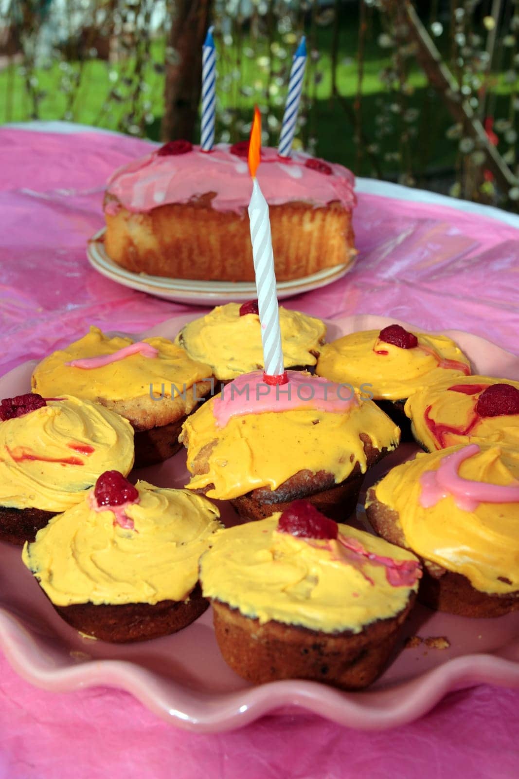 assorted cupcakes with a candle on one ready for a birthday party