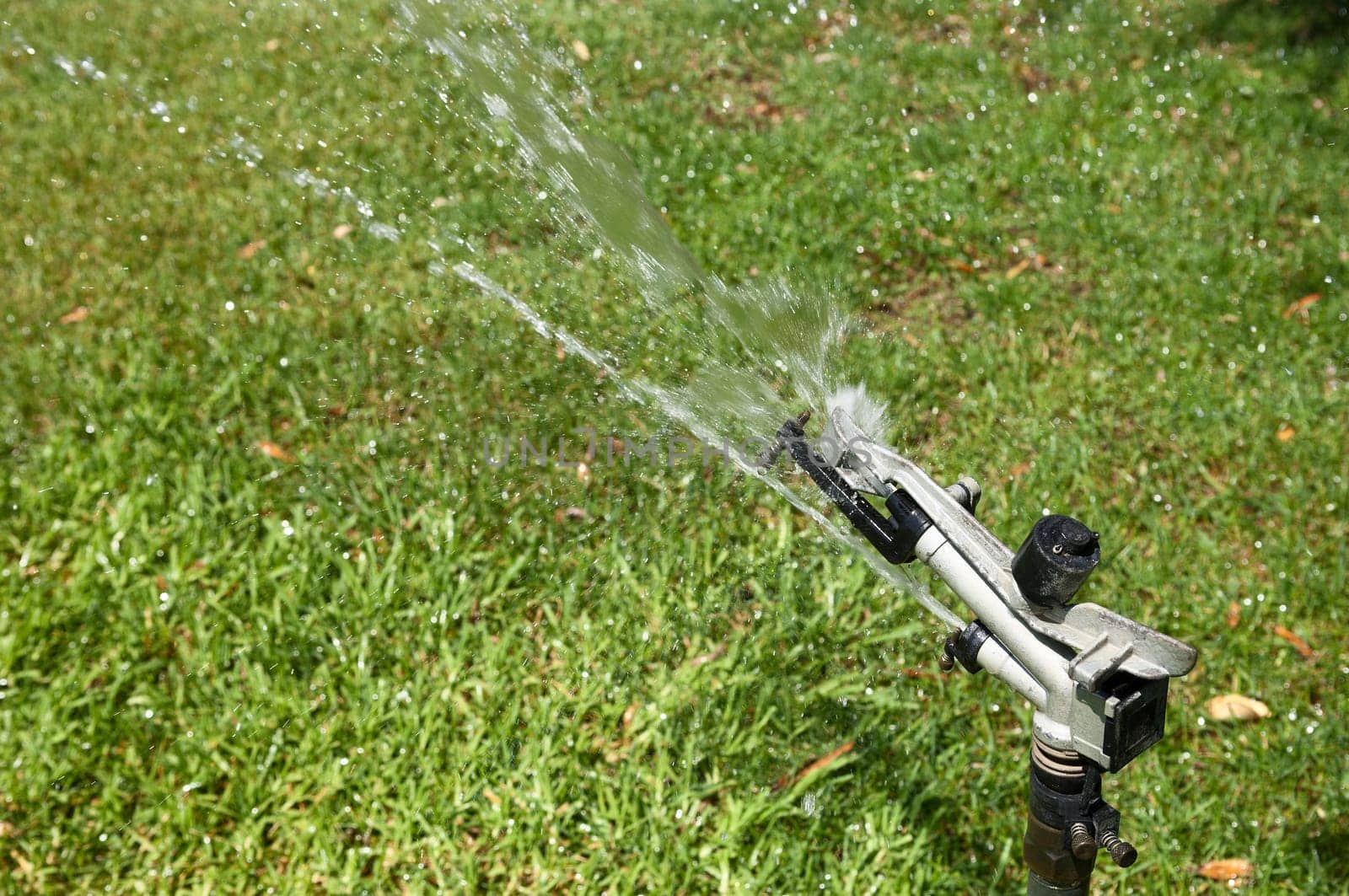 Detail of an automatic sprinkler irrigating a lawn