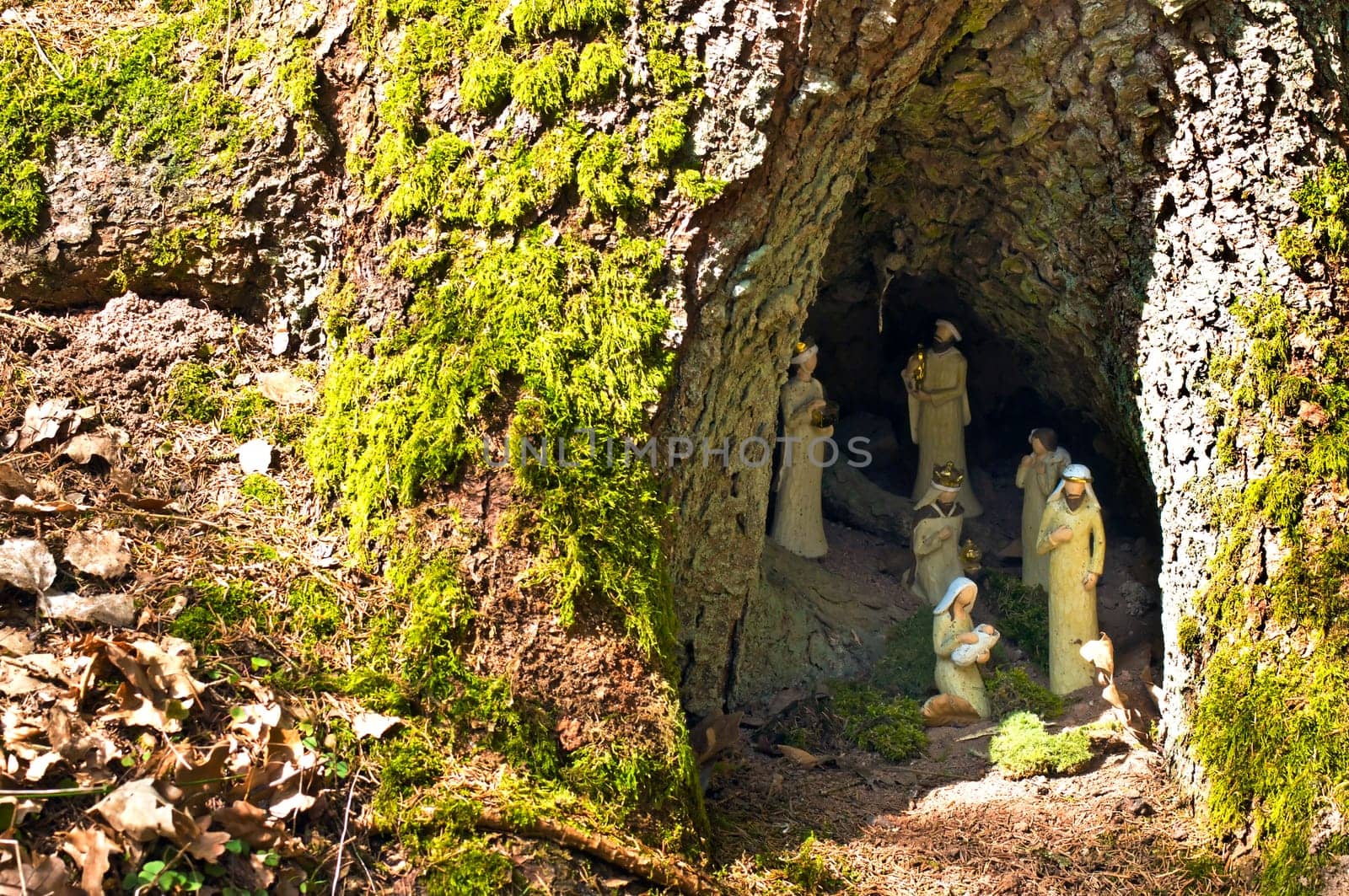 Forest Nativity Scene