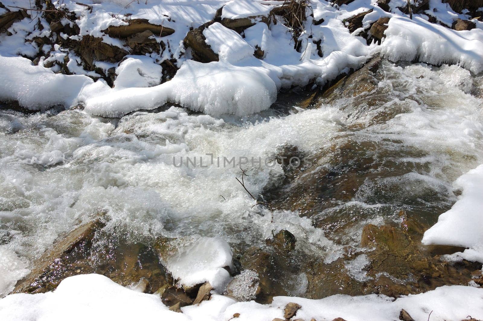 Forest creek in winter