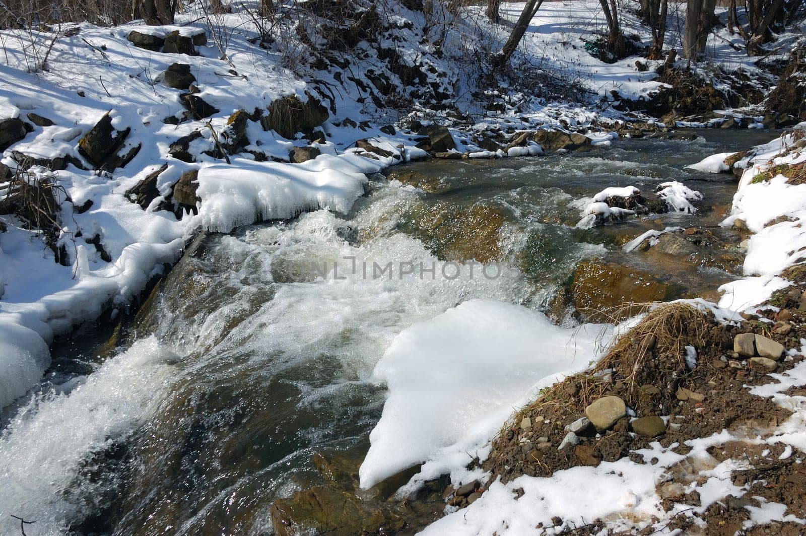 Forest creek in winter