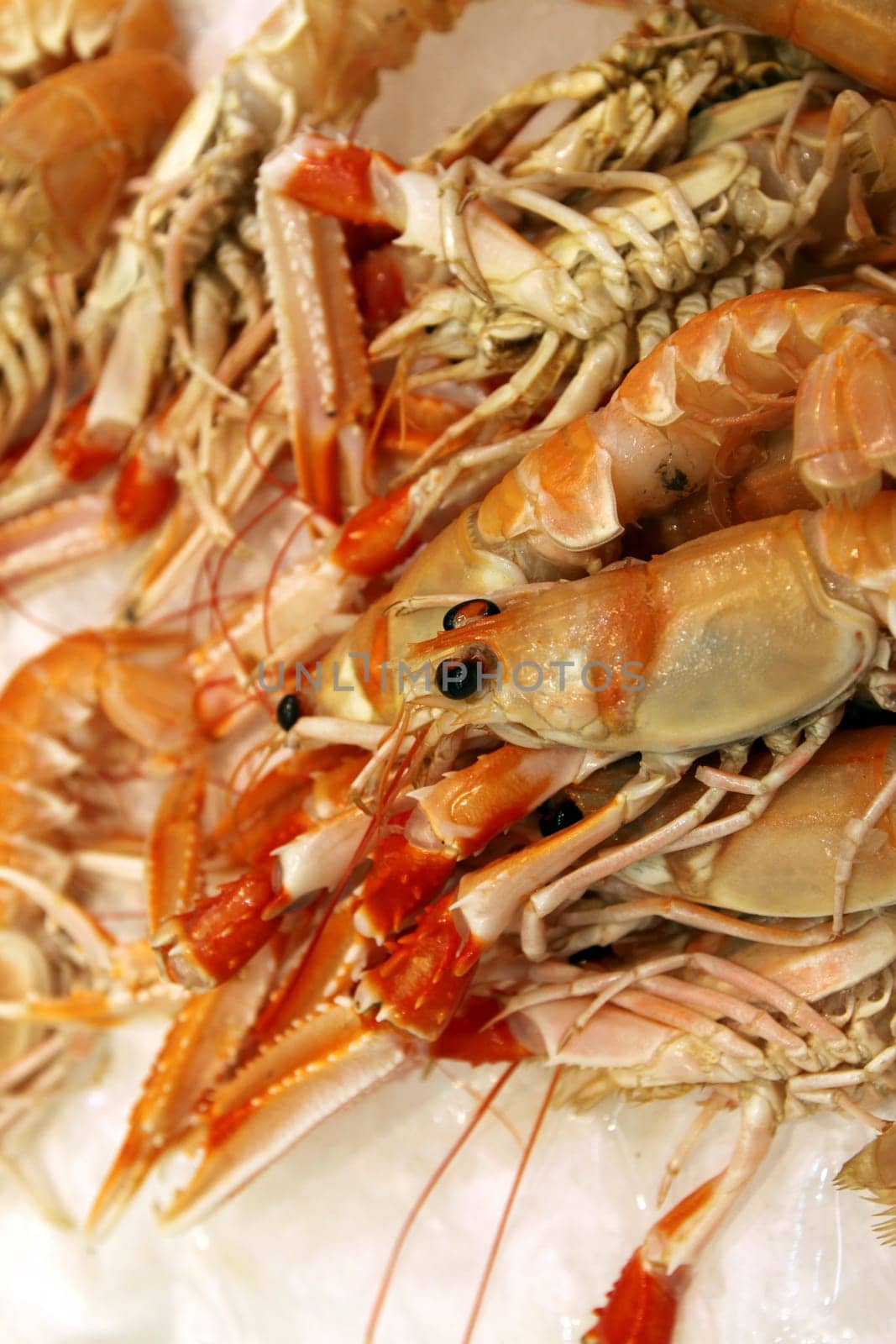 Fish market