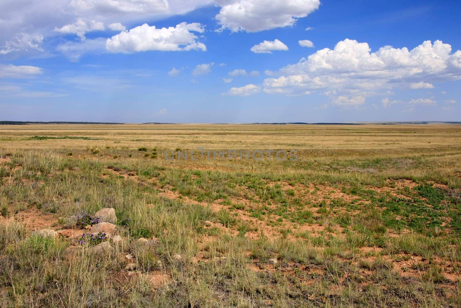 The plains near Fort Union National Monument
