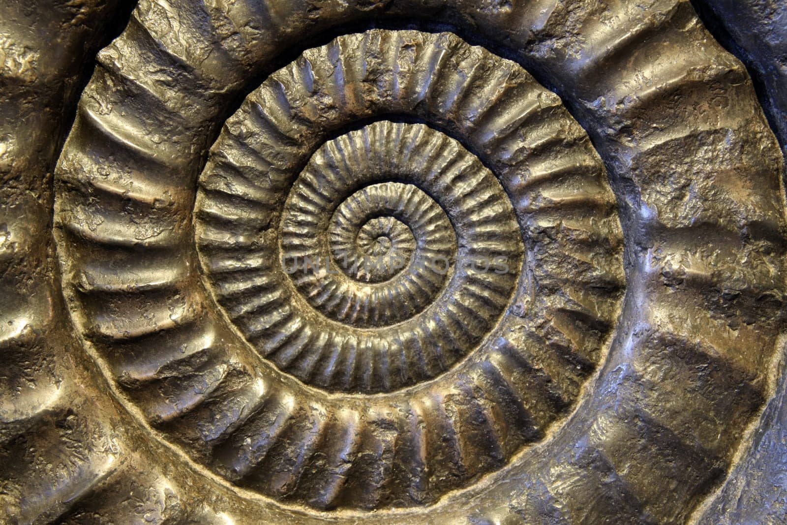 Petrifaction