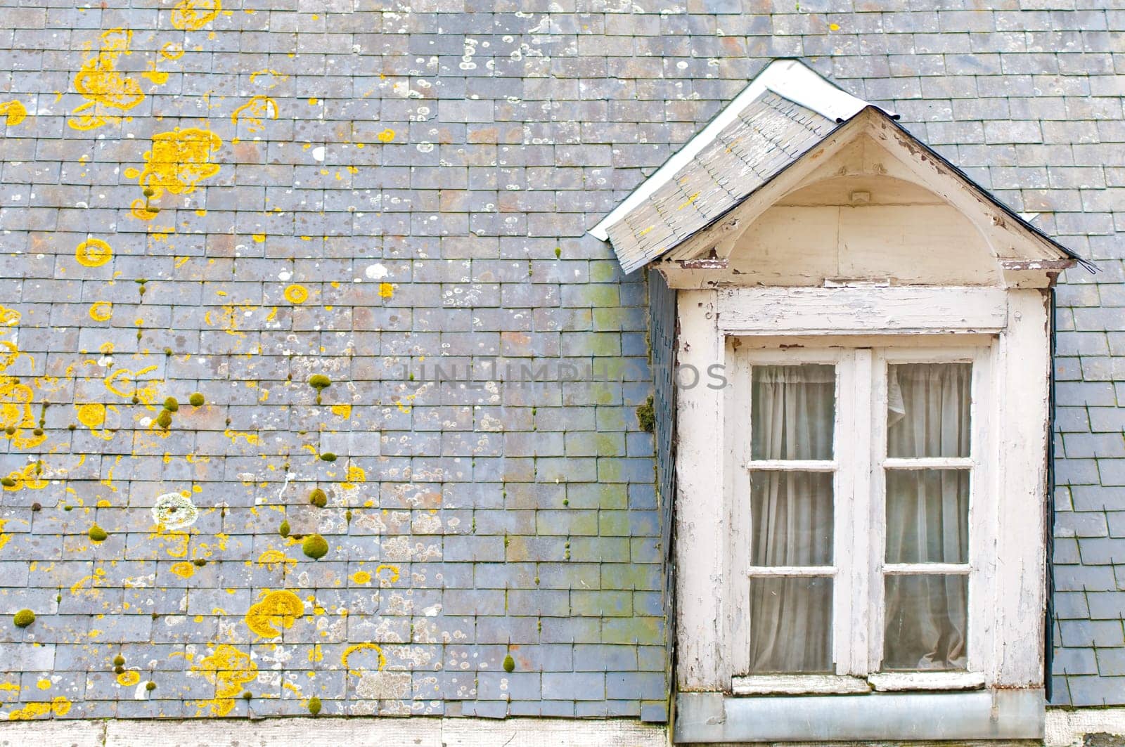 top of the roof with window of old house, tiled rooftop