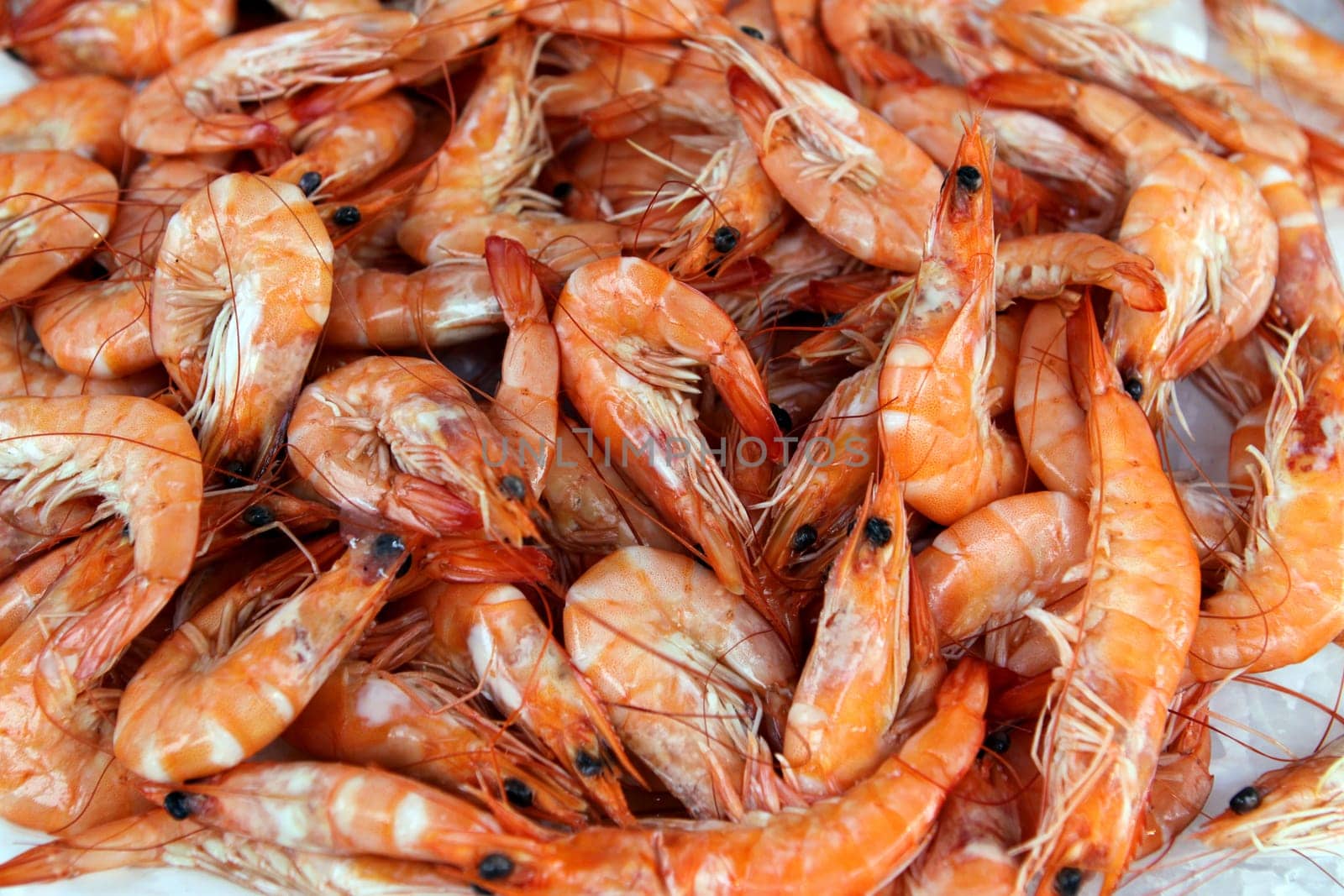 Fish market