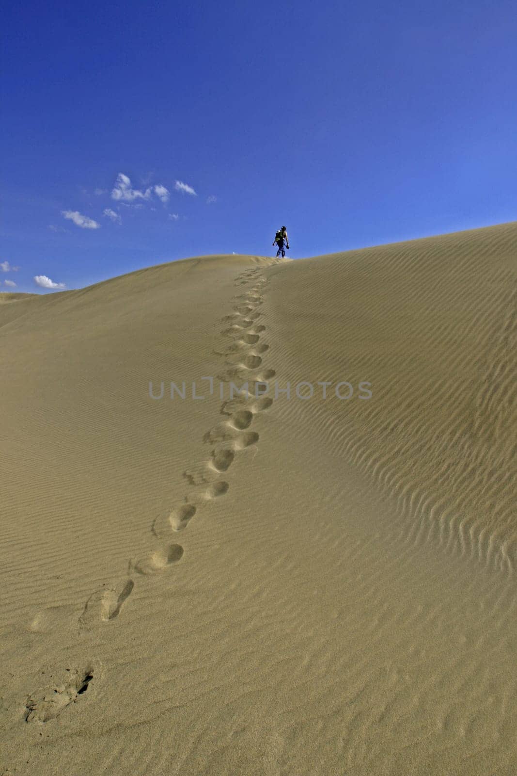 Maspalomas. Gran Canaria
