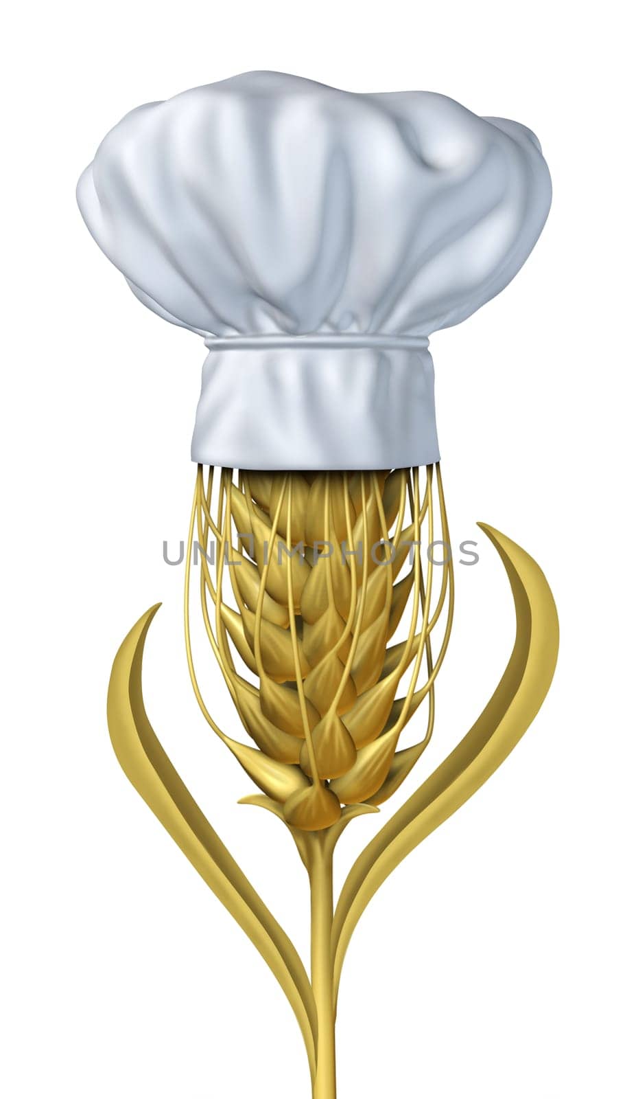 Bakery and baker symbol with wheat on a white background as a single growing natural grass plant and chef hat for farming and harvesting a healthy  high fibre yellow golden grain crop for baking and baked goods like bread and cereals and pastries.