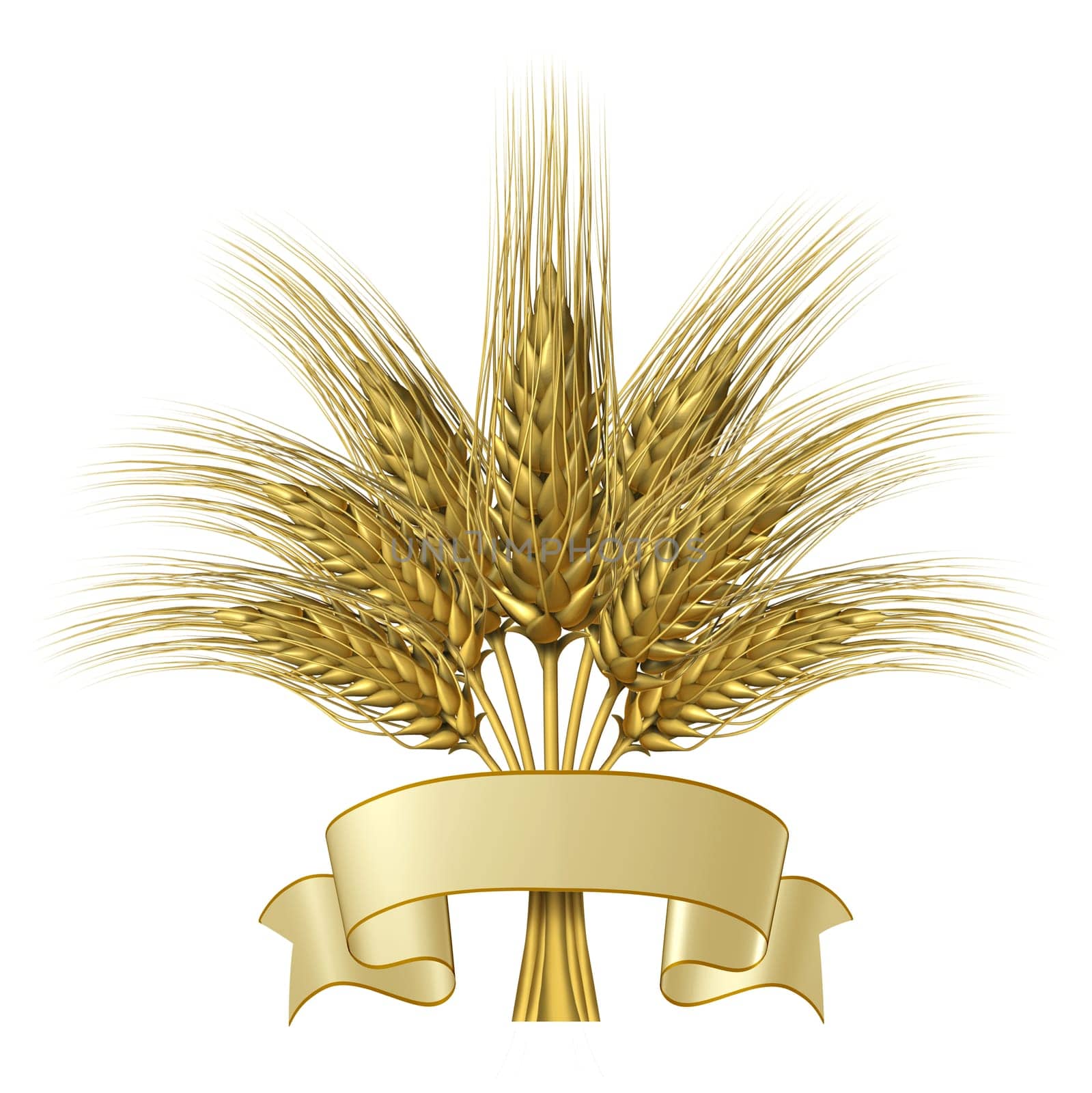 Wheat design with a blank ribbon banner as a group of growing natural grass plants for farming and harvesting as a healthy high fibre yellow golden grain crop for a bakery and baked goods.
