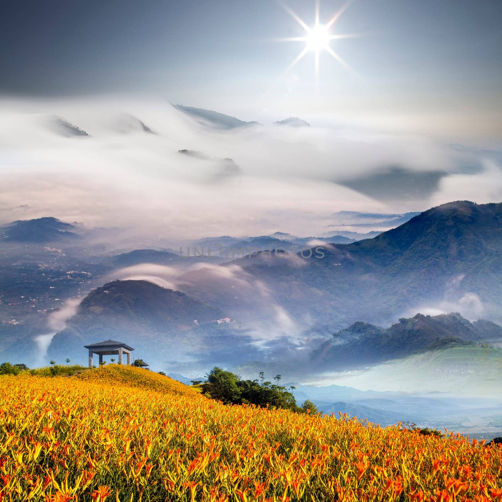 Nice mountain with flower and cloud for adv or others purpose use