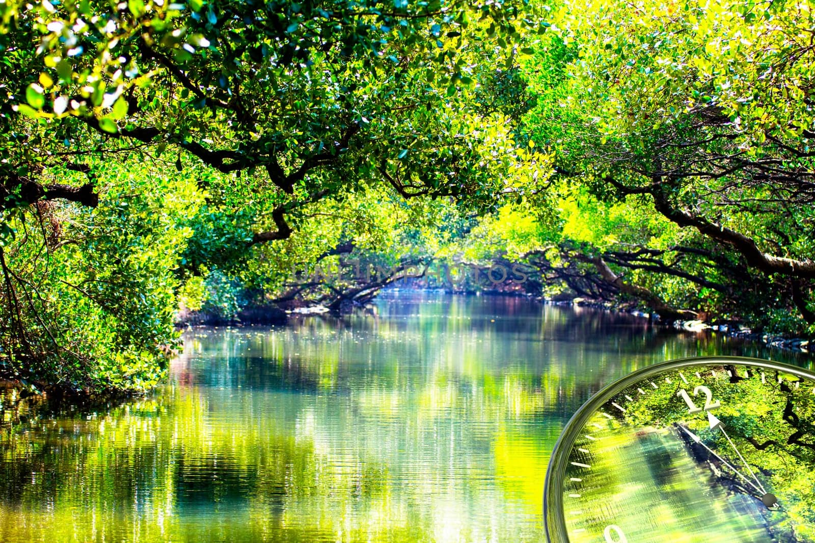 it's time for green world, for adv or others purpose use