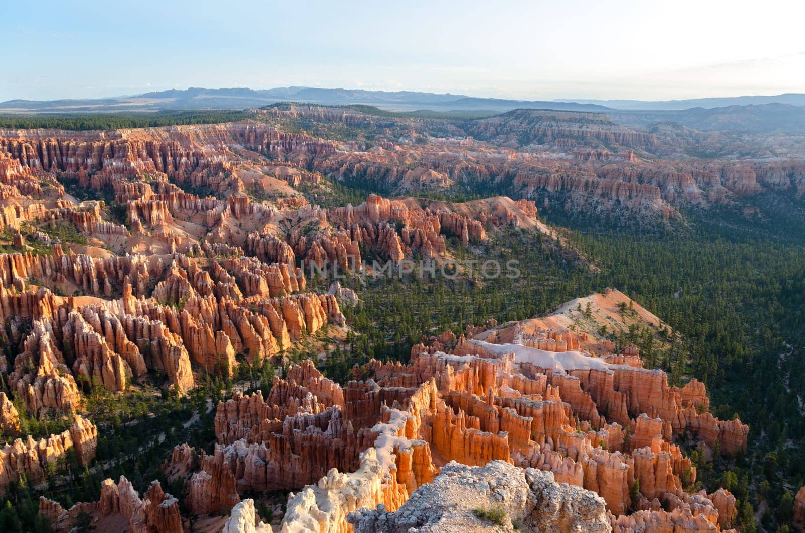 overview in Bryce Canyon National Park in Utah in the United States of America