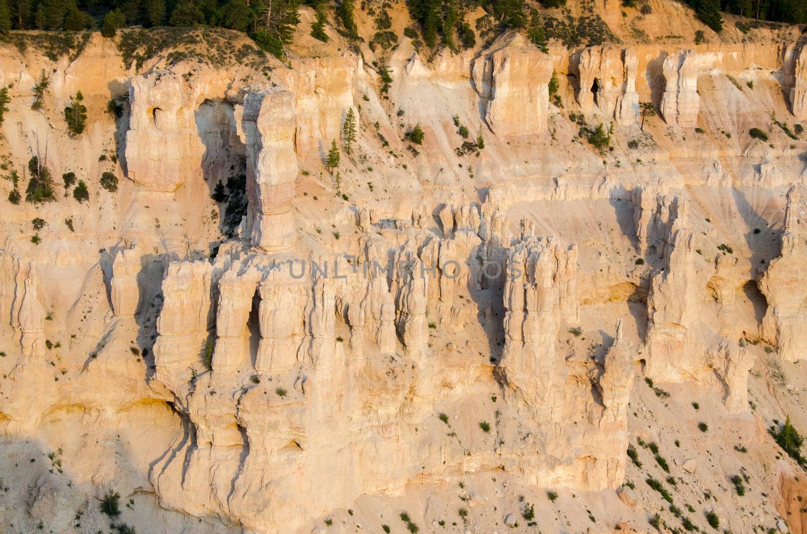 overview in Bryce Canyon National Park in Utah in the United States of America
