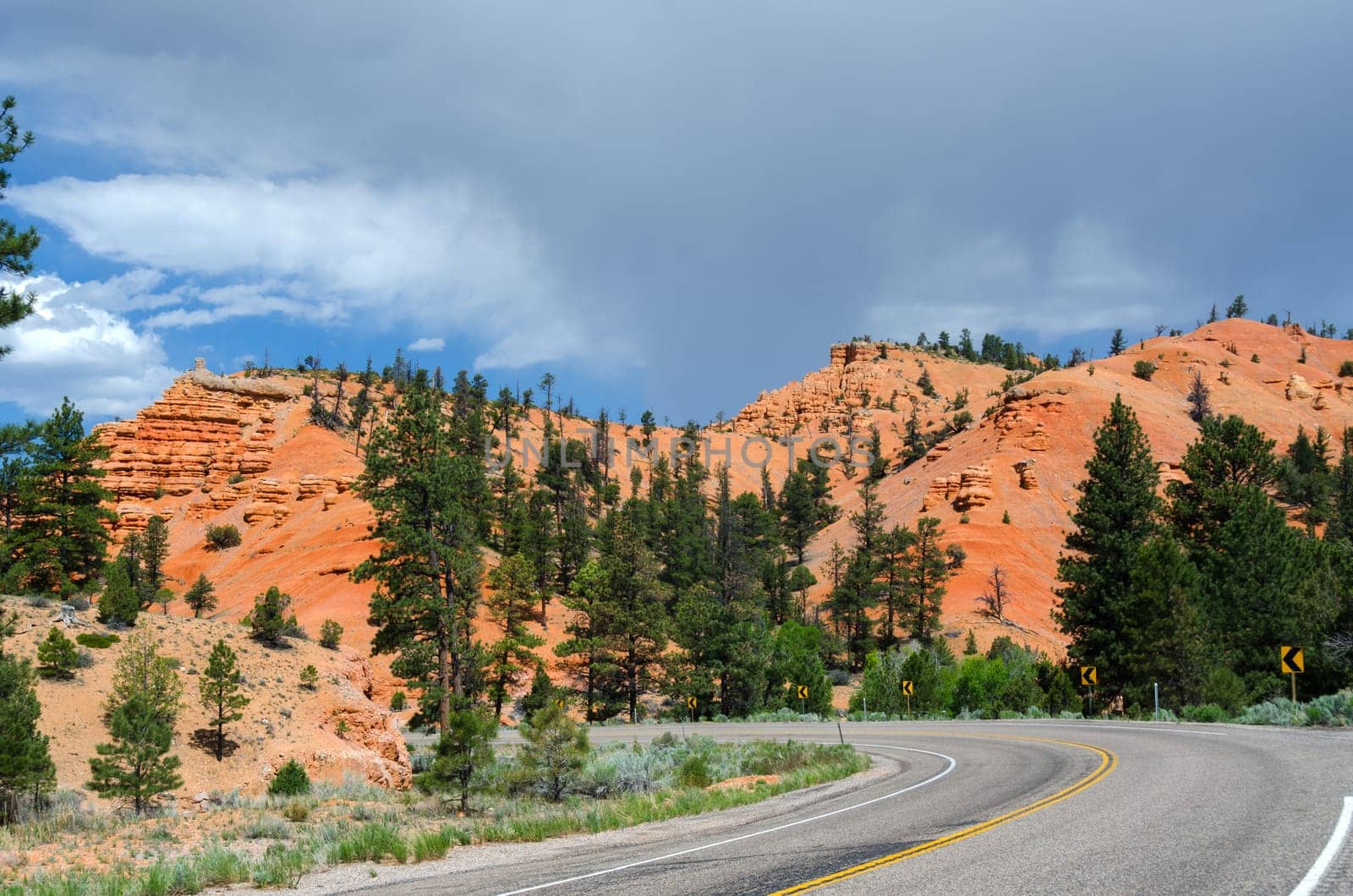 road in Red Canyon National Park in Utah in the United States of America